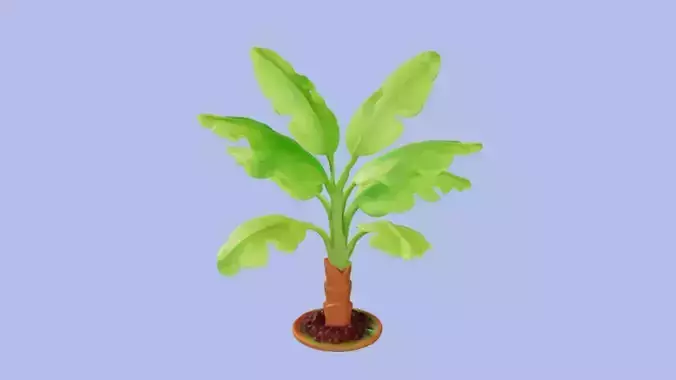 Banana Plant 3D Game Ready Model 3D model