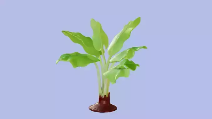 Banana Plant 3D Model 3D model