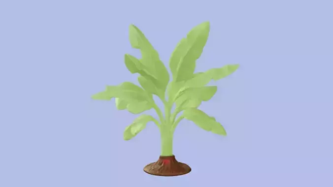 Banana Plant 3D Game Ready Model 3D model