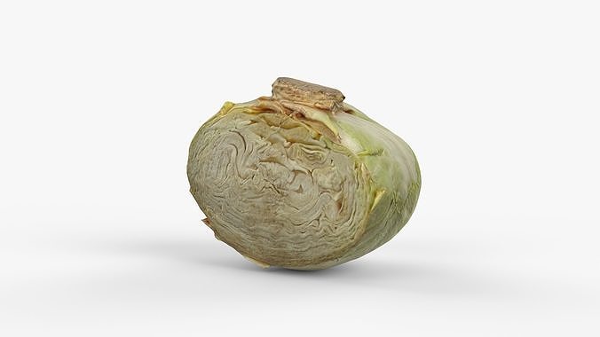 Photorealistic 3D scan of half a white cabbage Low-poly 3D model 3