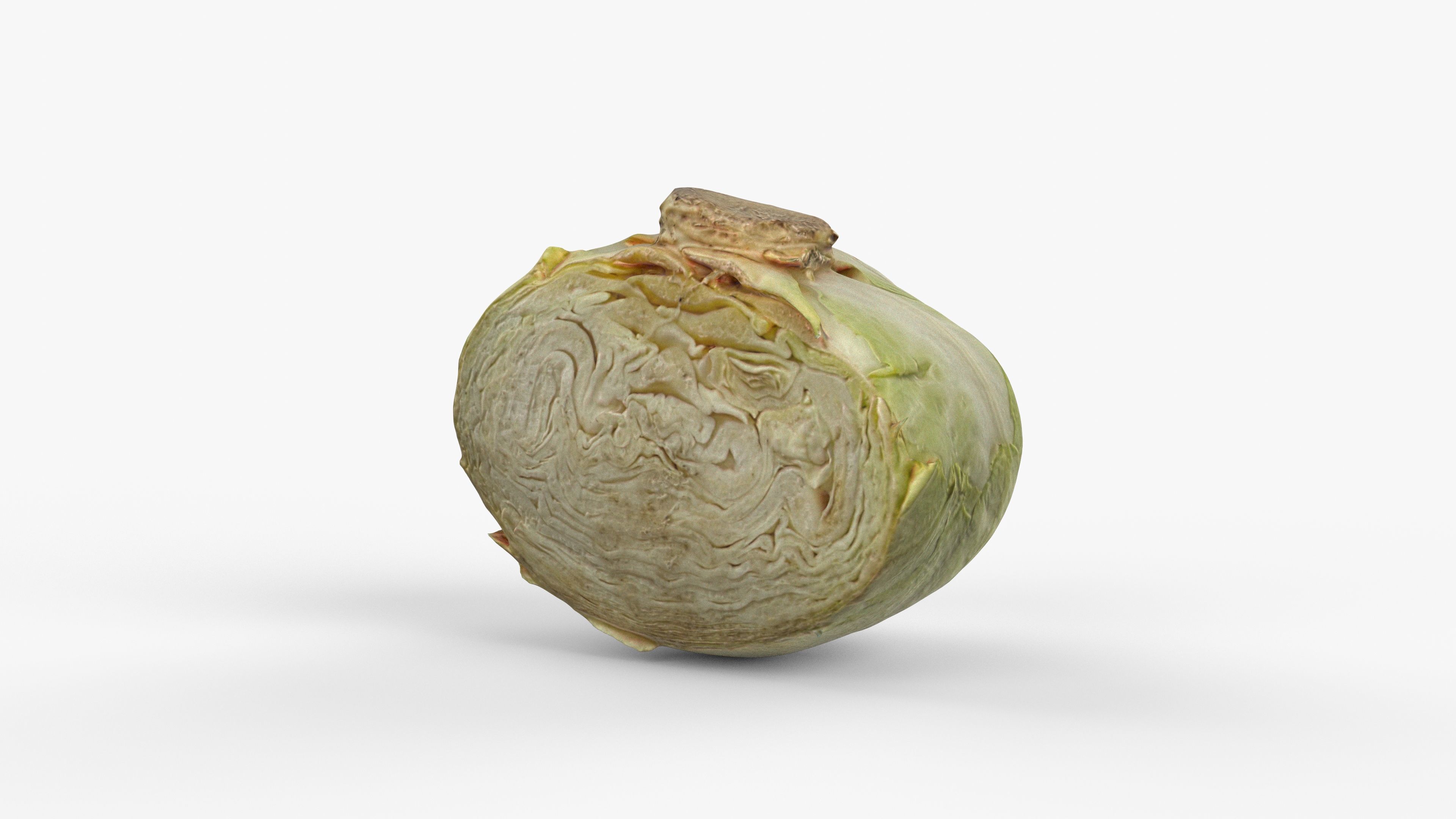 Photorealistic 3D scan of half a white cabbage Low-poly 3D model_2