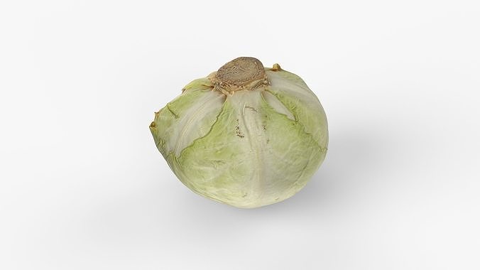 Photorealistic 3D scan of half a white cabbage Low-poly 3D model 2