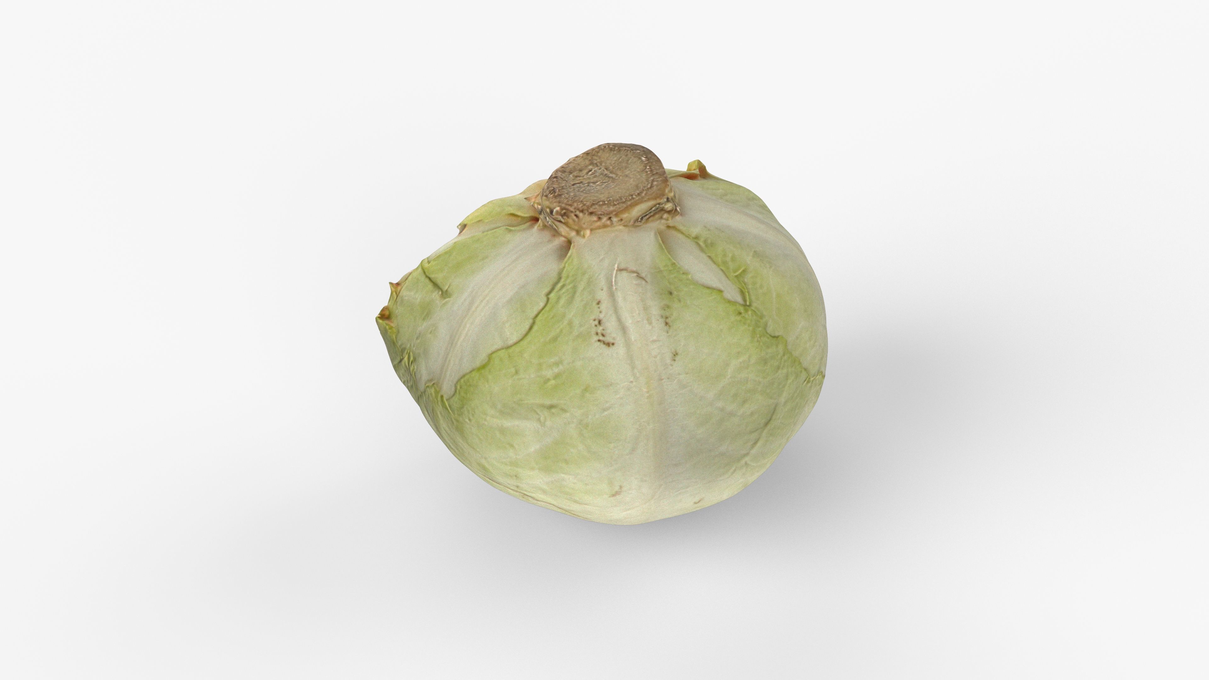 Photorealistic 3D scan of half a white cabbage Low-poly 3D model_1
