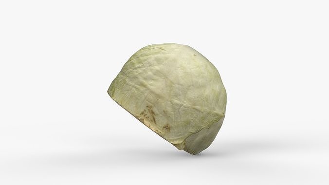 Photorealistic 3D scan of half a white cabbage Low-poly 3D model 7