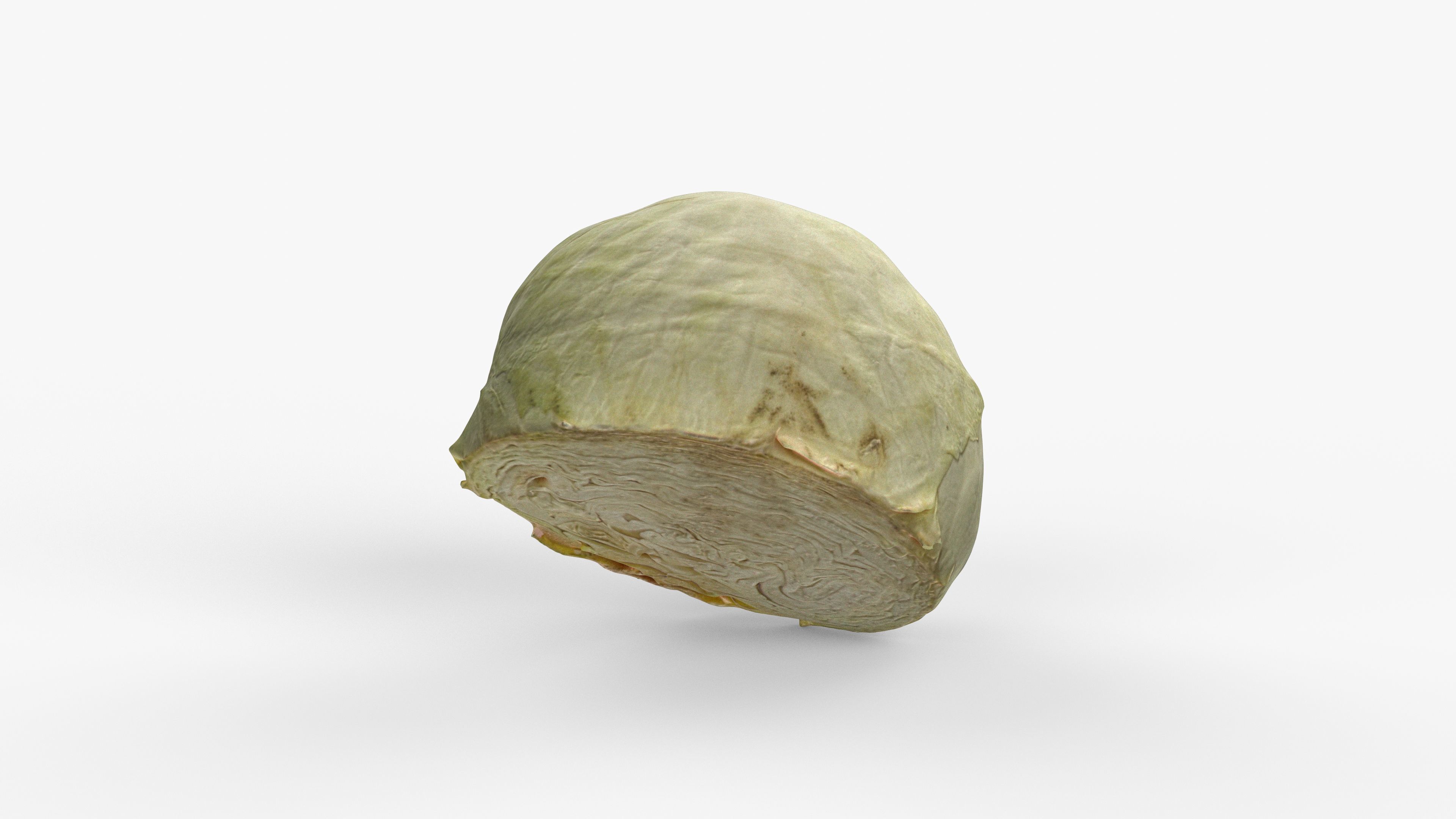 Photorealistic 3D scan of half a white cabbage Low-poly 3D model_8