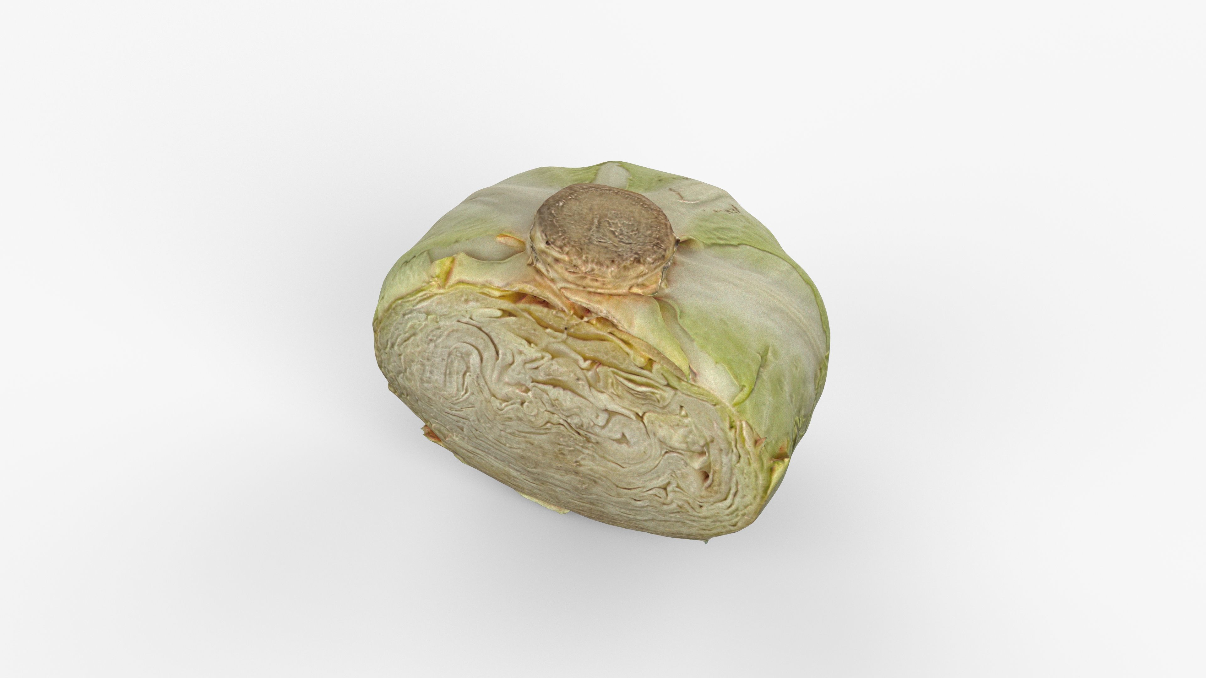 Photorealistic 3D scan of half a white cabbage Low-poly 3D model_6