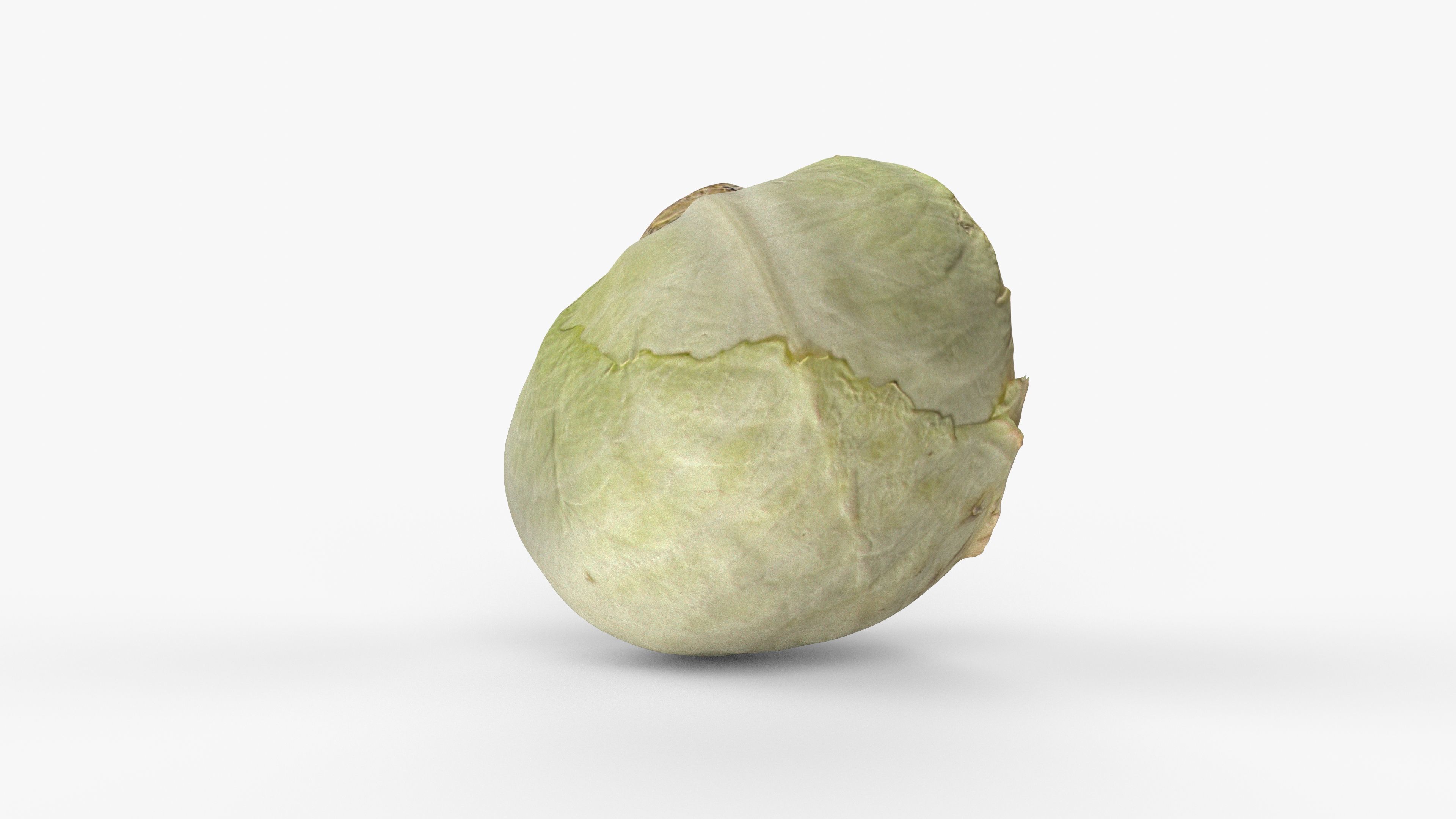 Photorealistic 3D scan of half a white cabbage Low-poly 3D model_9