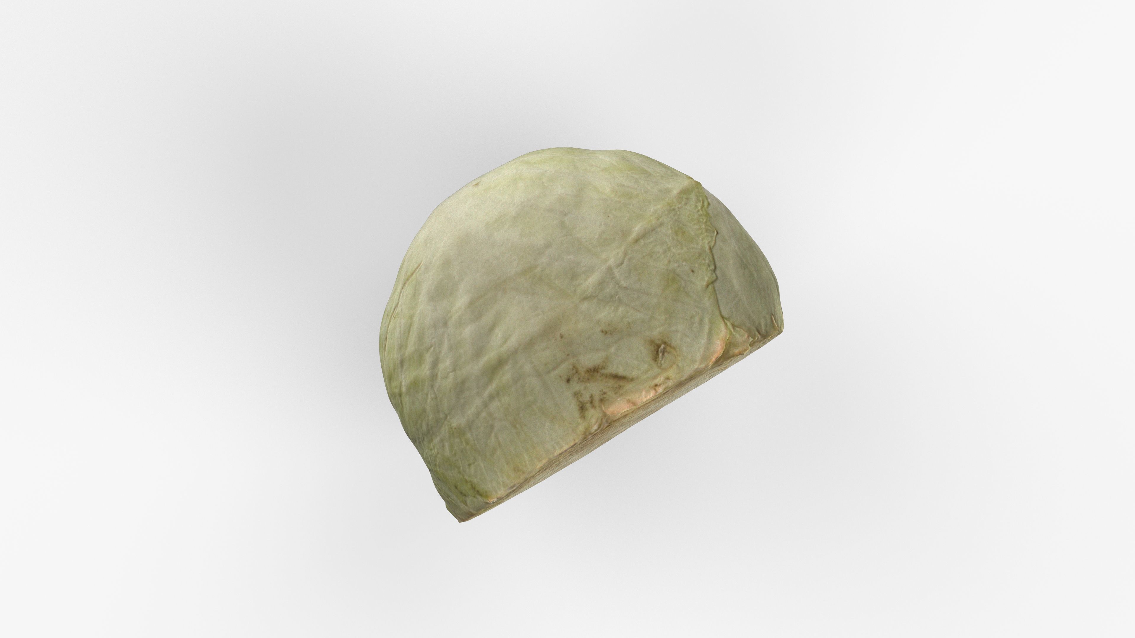 Photorealistic 3D scan of half a white cabbage Low-poly 3D model_7