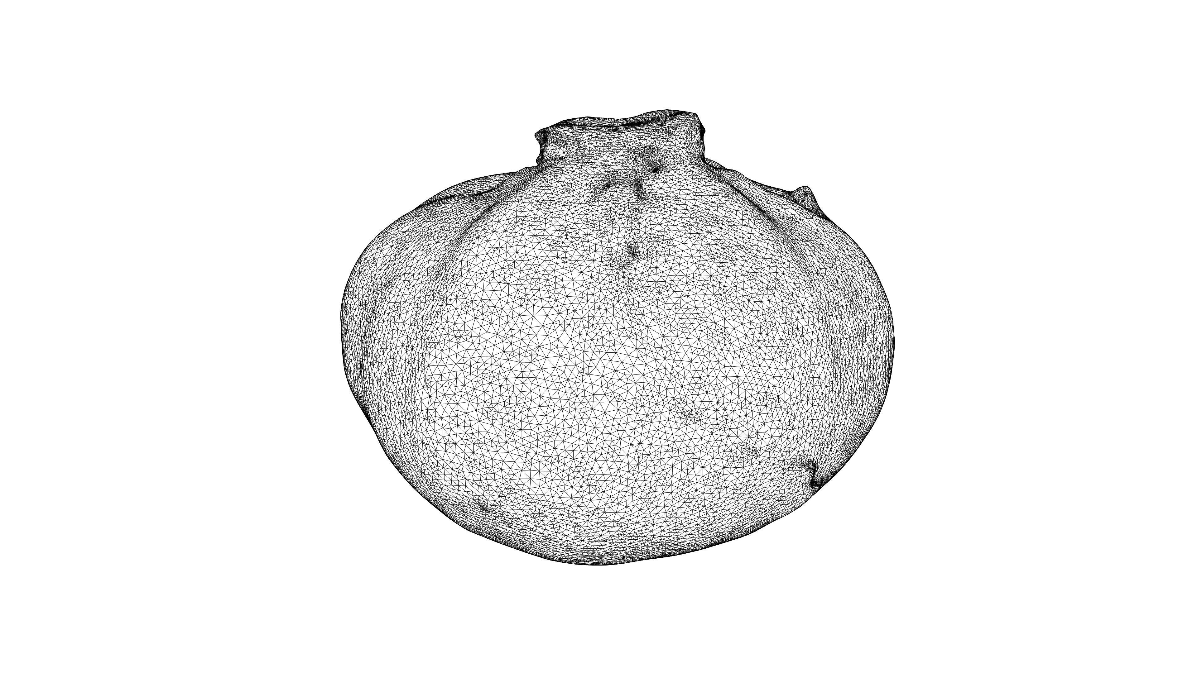 Photorealistic 3D scan of half a white cabbage Low-poly 3D model_23