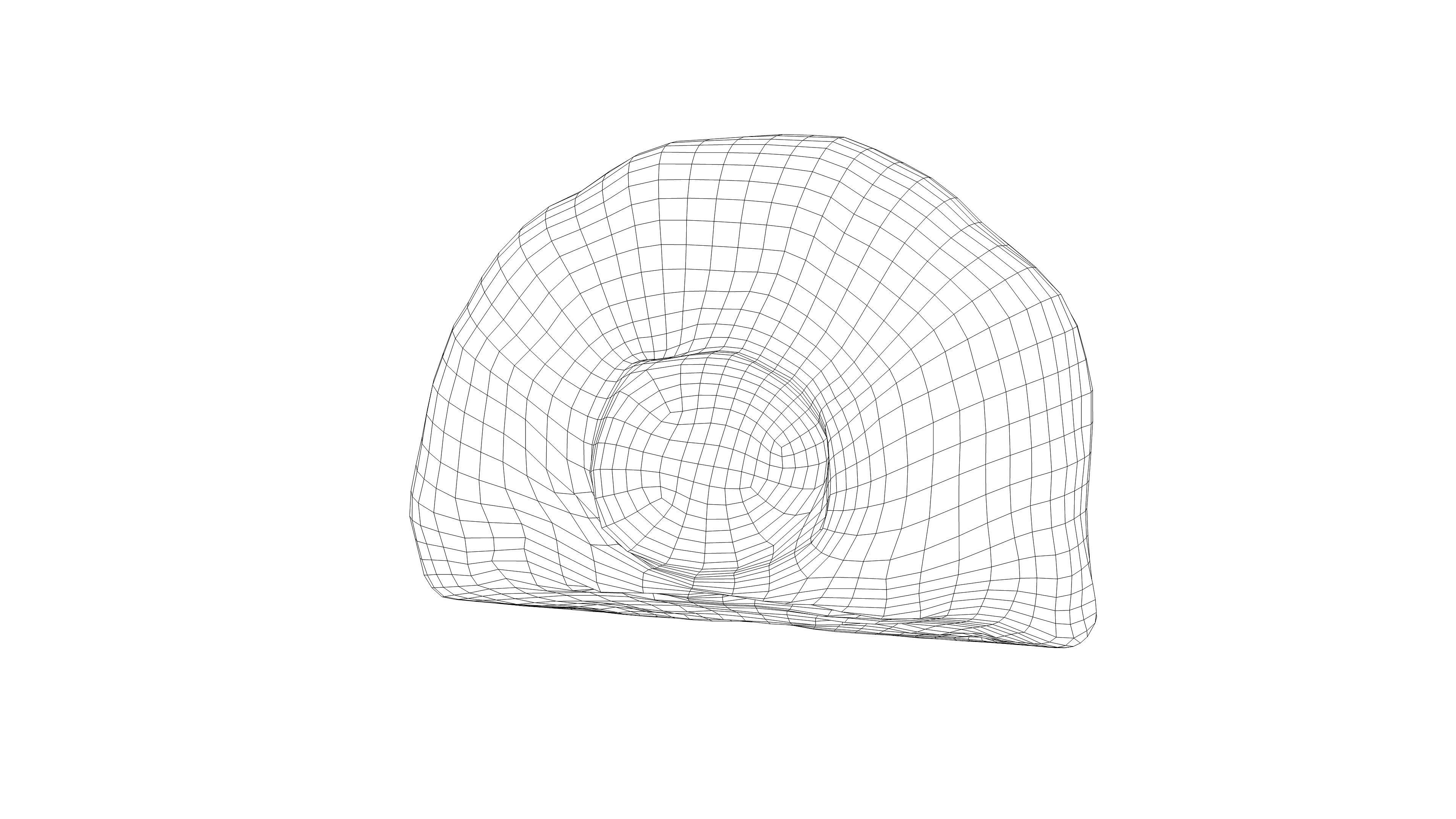 Photorealistic 3D scan of half a white cabbage Low-poly 3D model_18