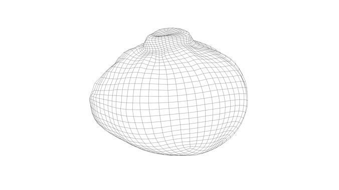 Photorealistic 3D scan of half a white cabbage Low-poly 3D model 4