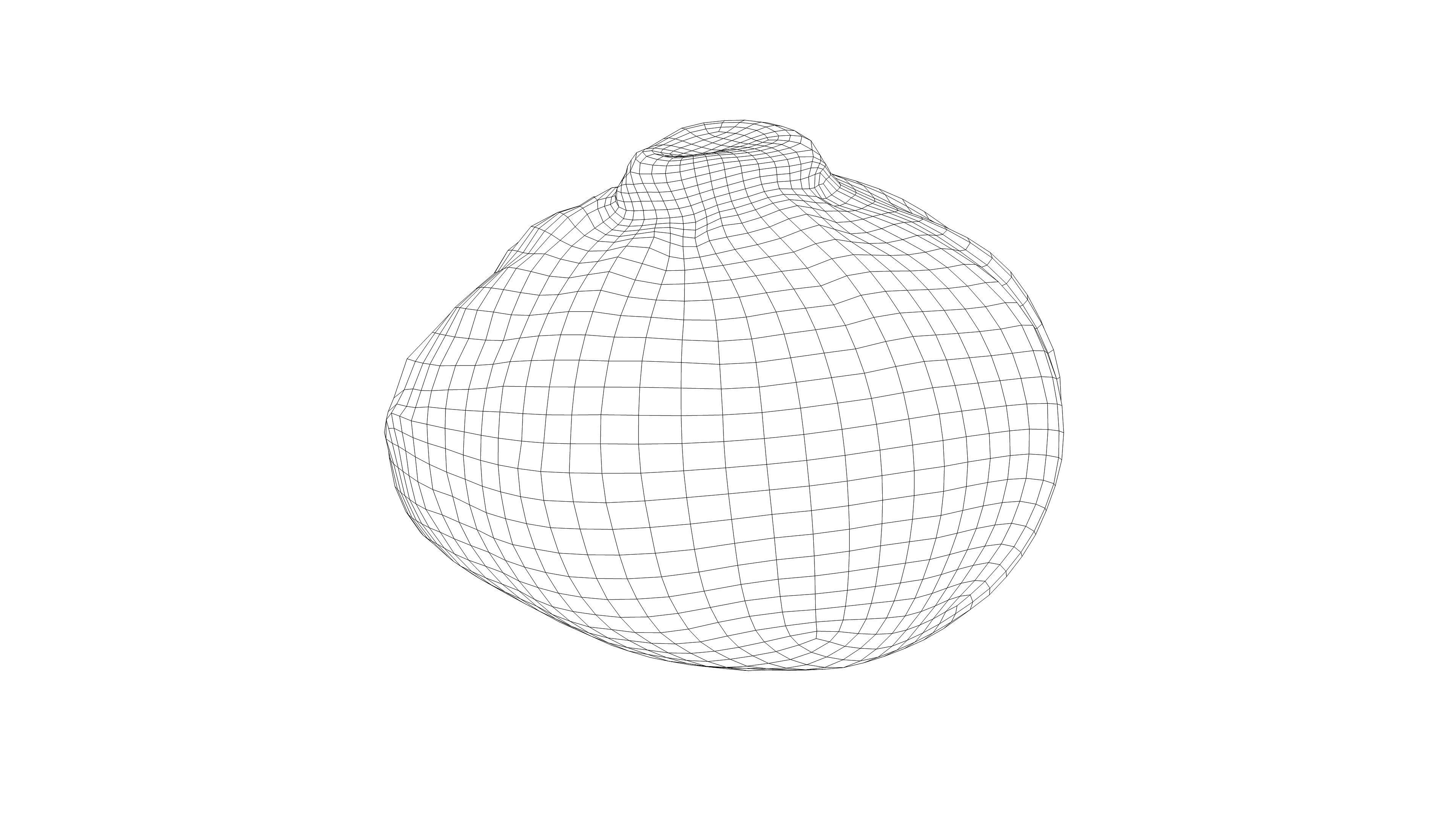 Photorealistic 3D scan of half a white cabbage Low-poly 3D model_14