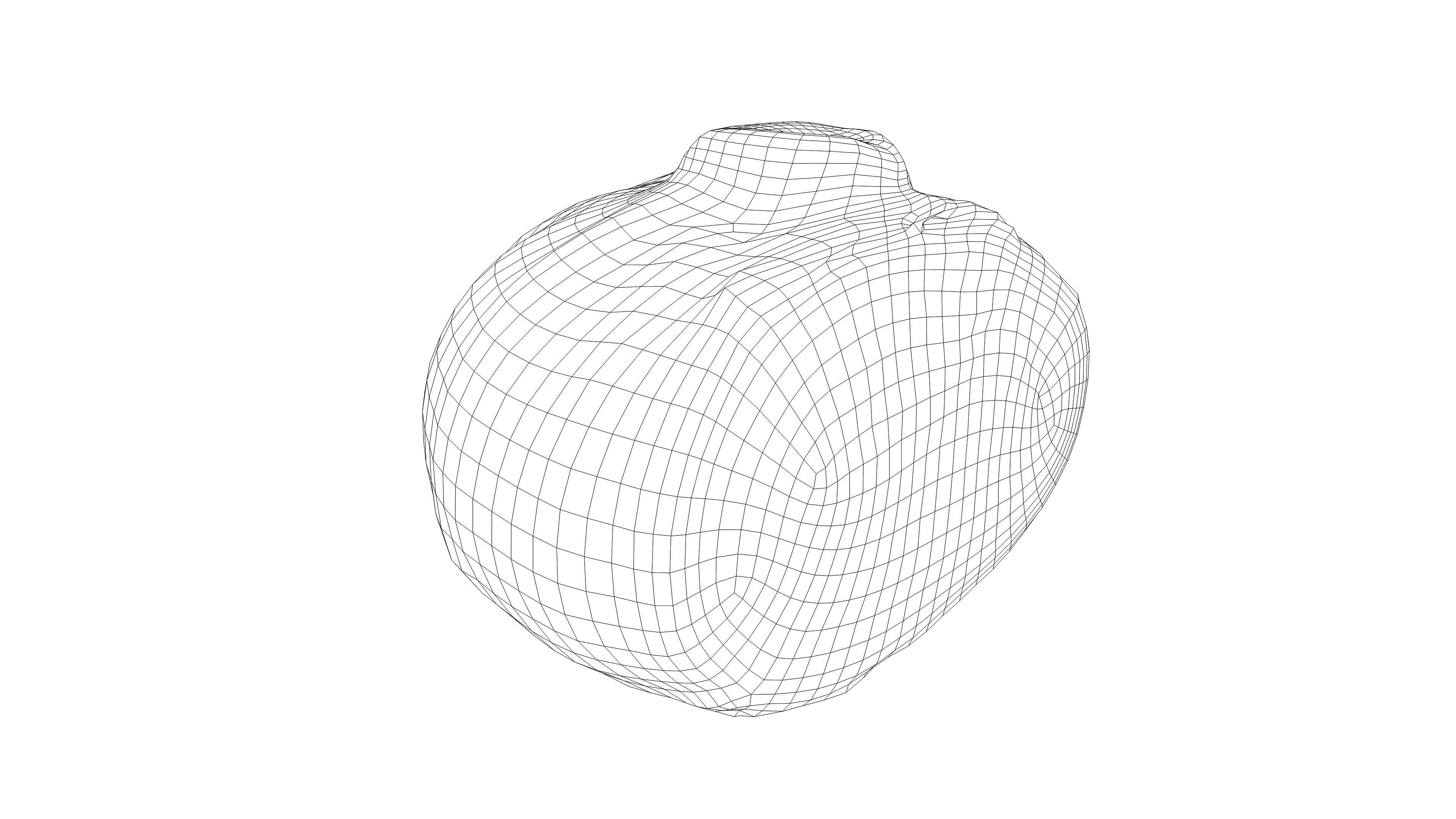 Photorealistic 3D scan of half a white cabbage Low-poly 3D model_19