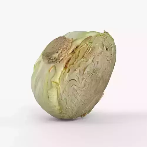 Photorealistic 3D scan of half a white cabbage Low-poly 3D model