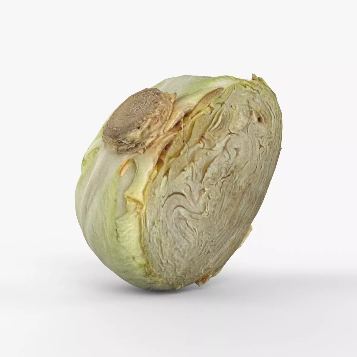 Photorealistic 3D scan of half a white cabbage Low-poly 3D model_0