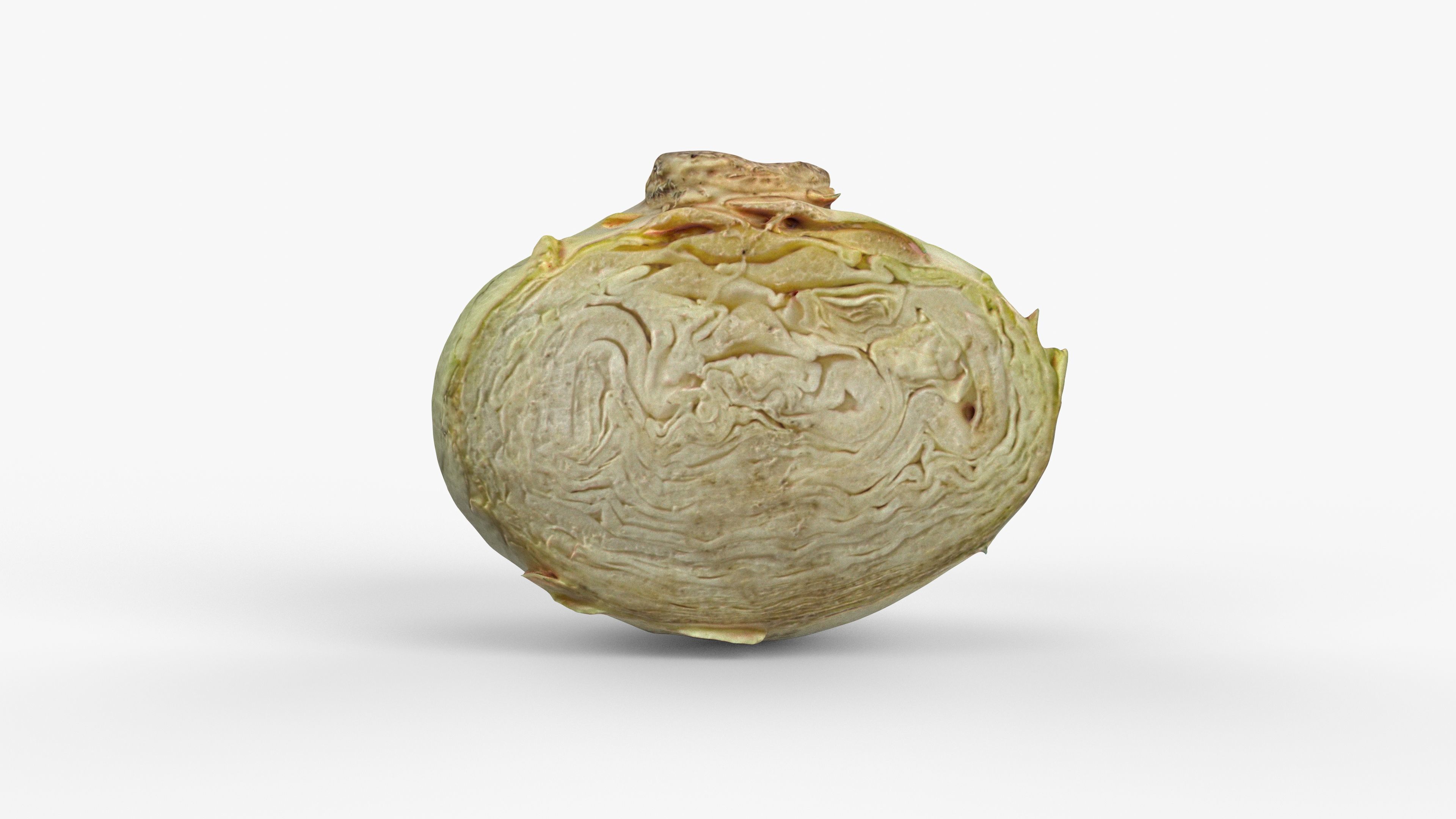 Photorealistic 3D scan of half a white cabbage Low-poly 3D model_3