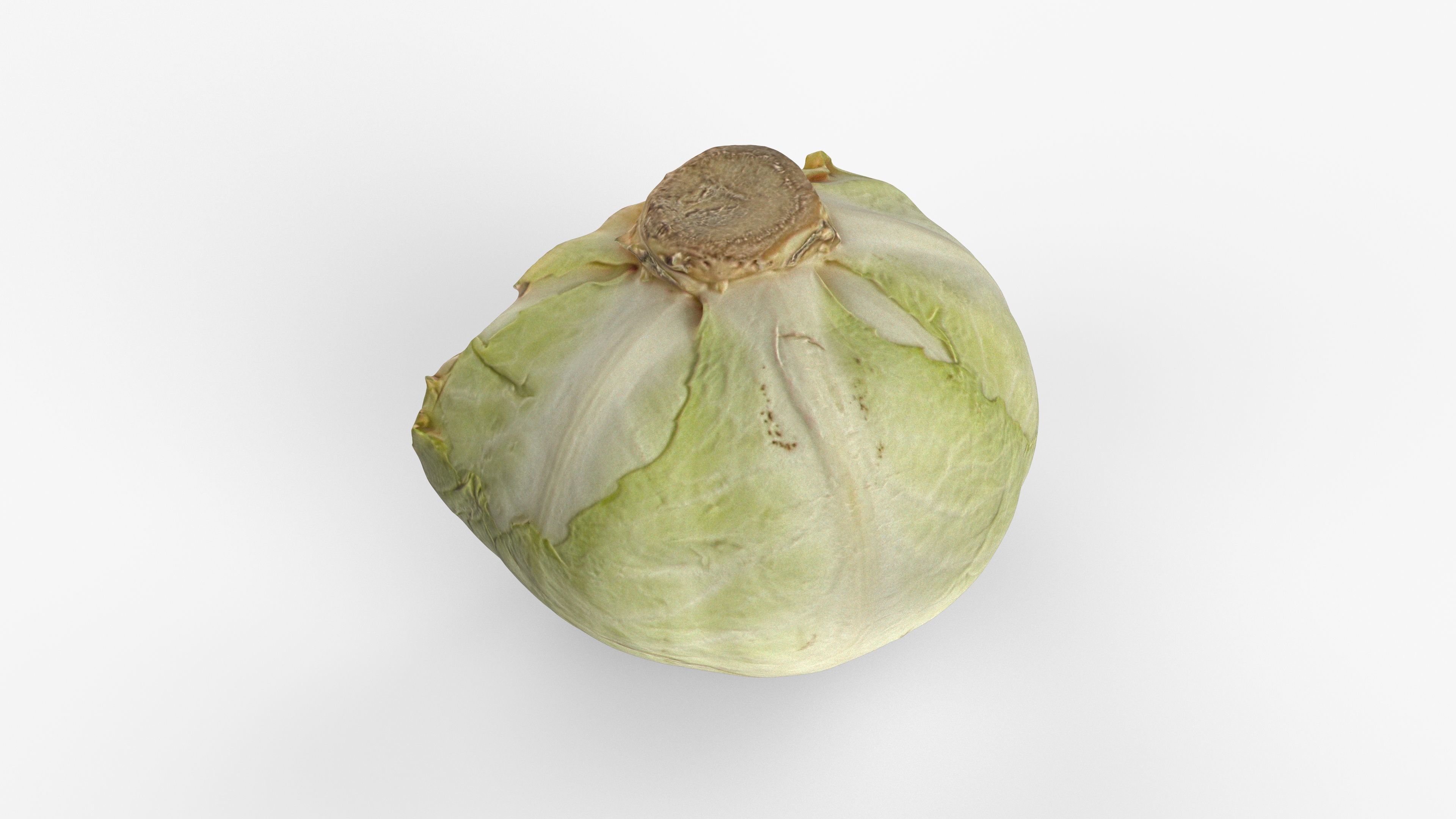 Photorealistic 3D scan of half a white cabbage Low-poly 3D model_12