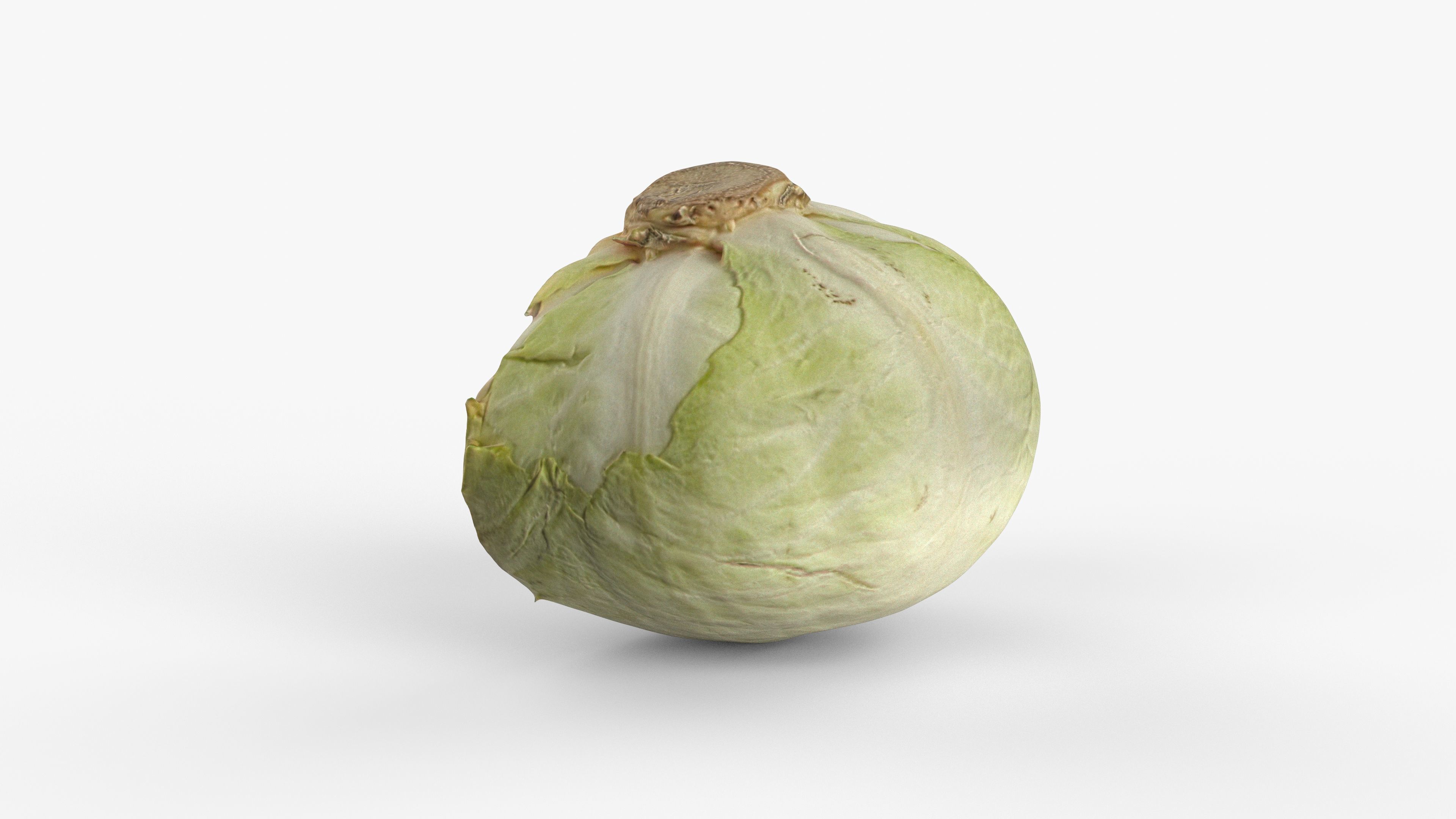 Photorealistic 3D scan of half a white cabbage Low-poly 3D model_10
