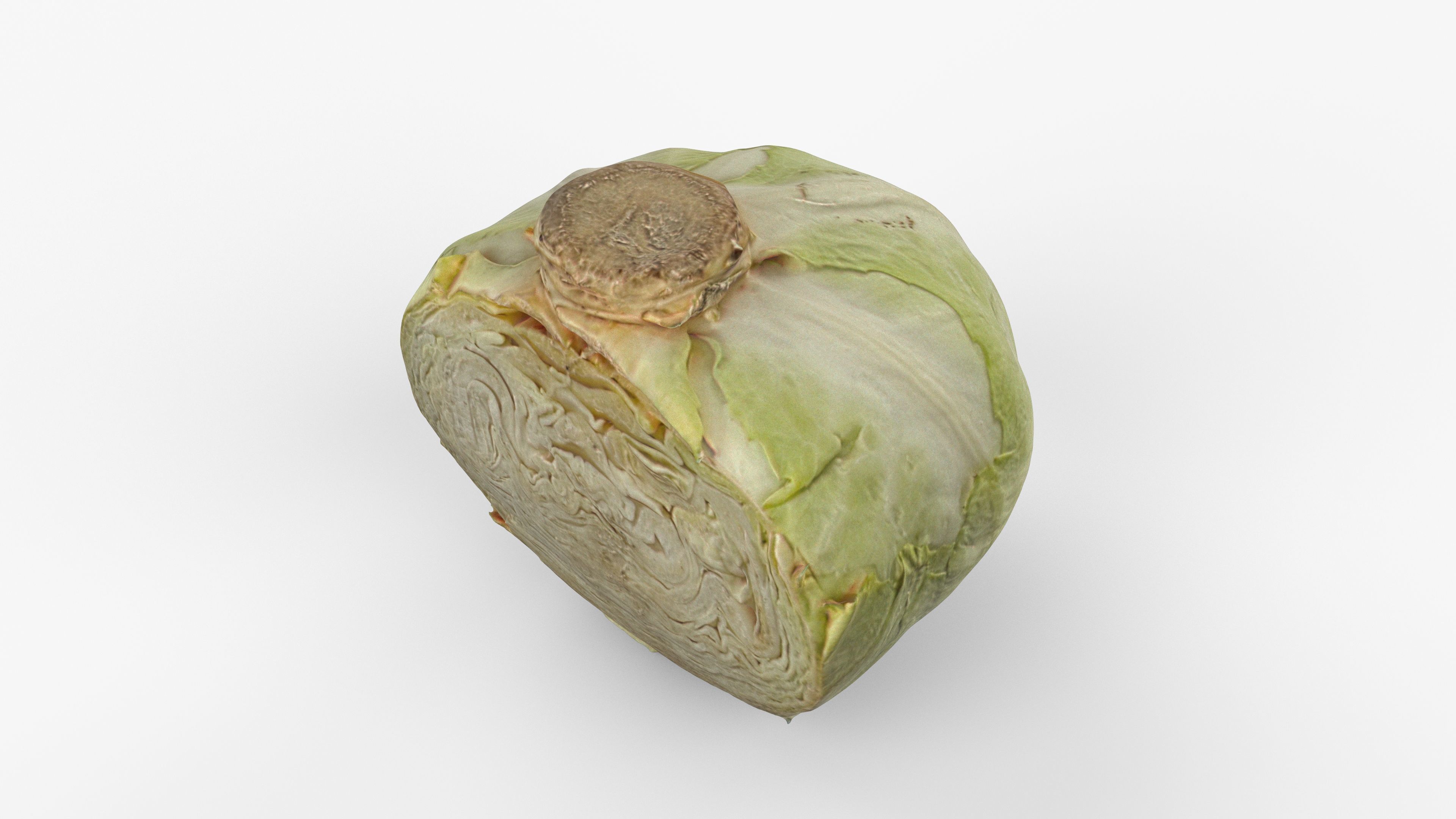 Photorealistic 3D scan of half a white cabbage Low-poly 3D model_11