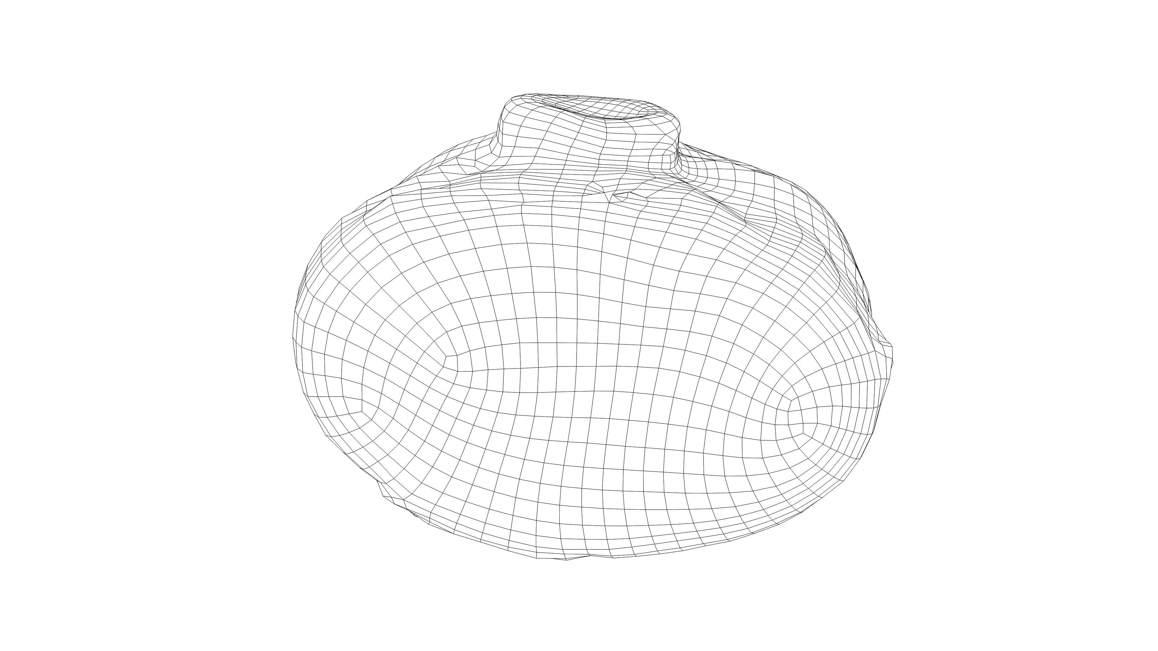 Photorealistic 3D scan of half a white cabbage Low-poly 3D model_17