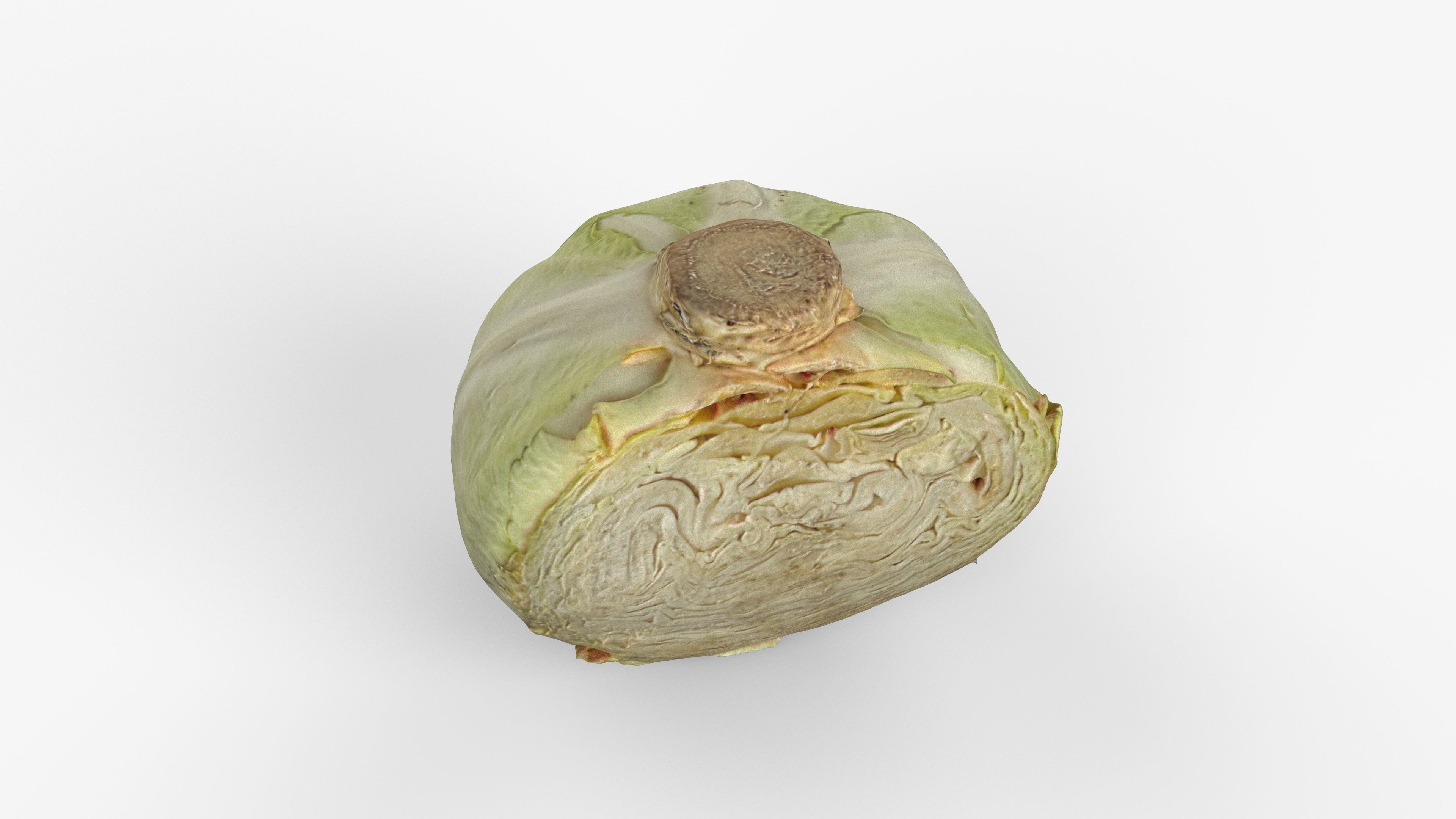 Photorealistic 3D scan of half a white cabbage Low-poly 3D model_13