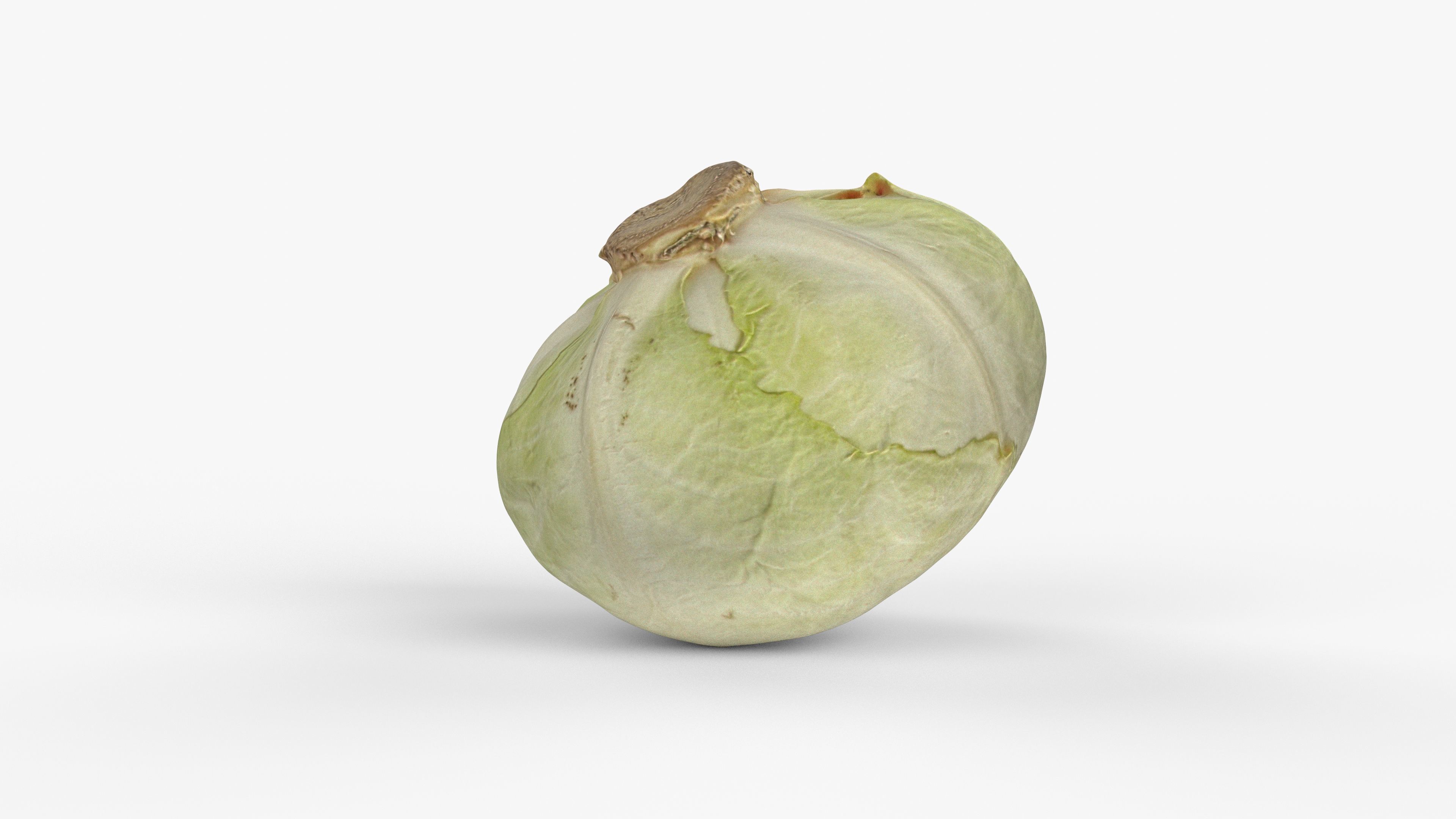Photorealistic 3D scan of half a white cabbage Low-poly 3D model_5