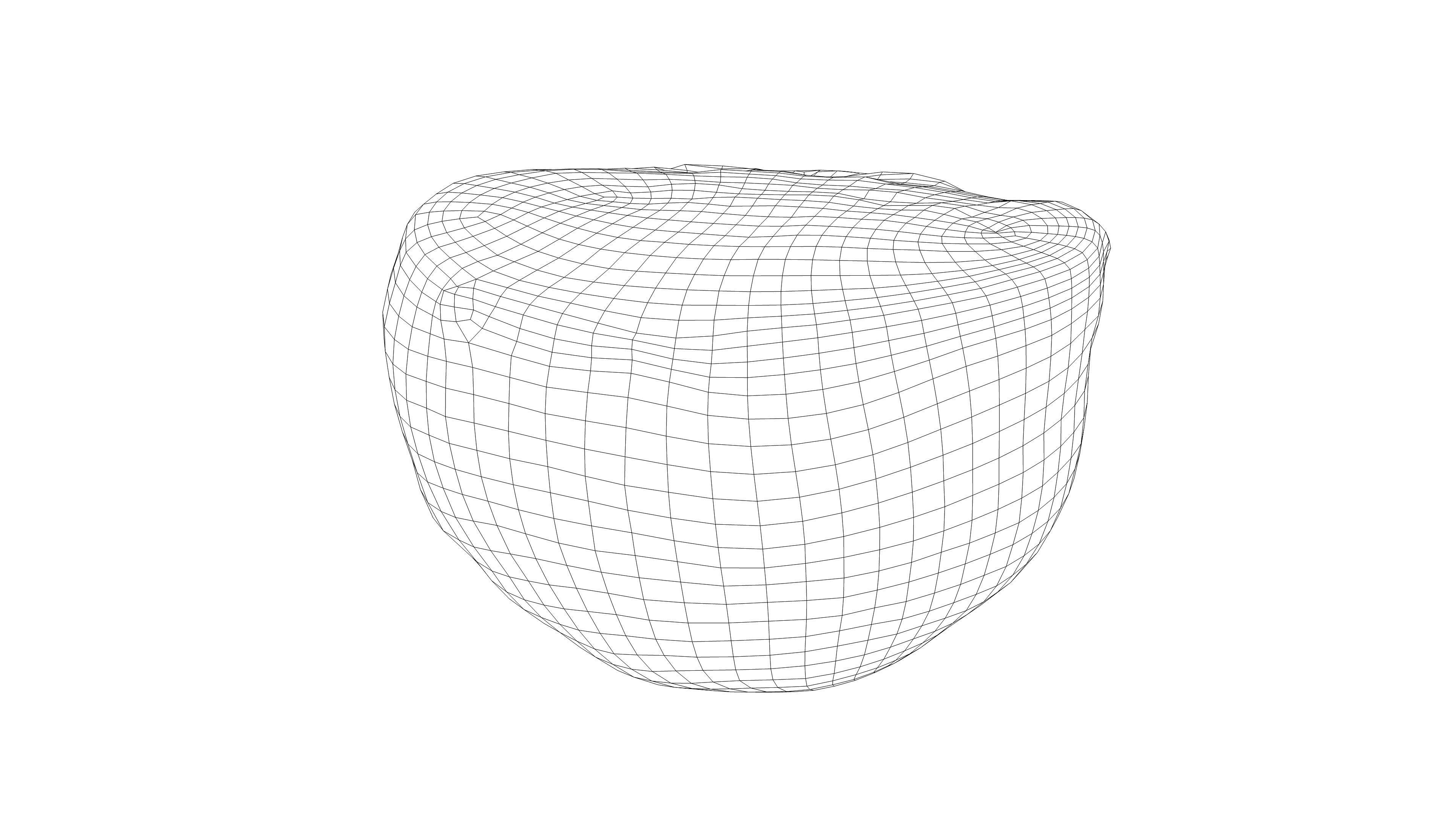 Photorealistic 3D scan of half a white cabbage Low-poly 3D model_16