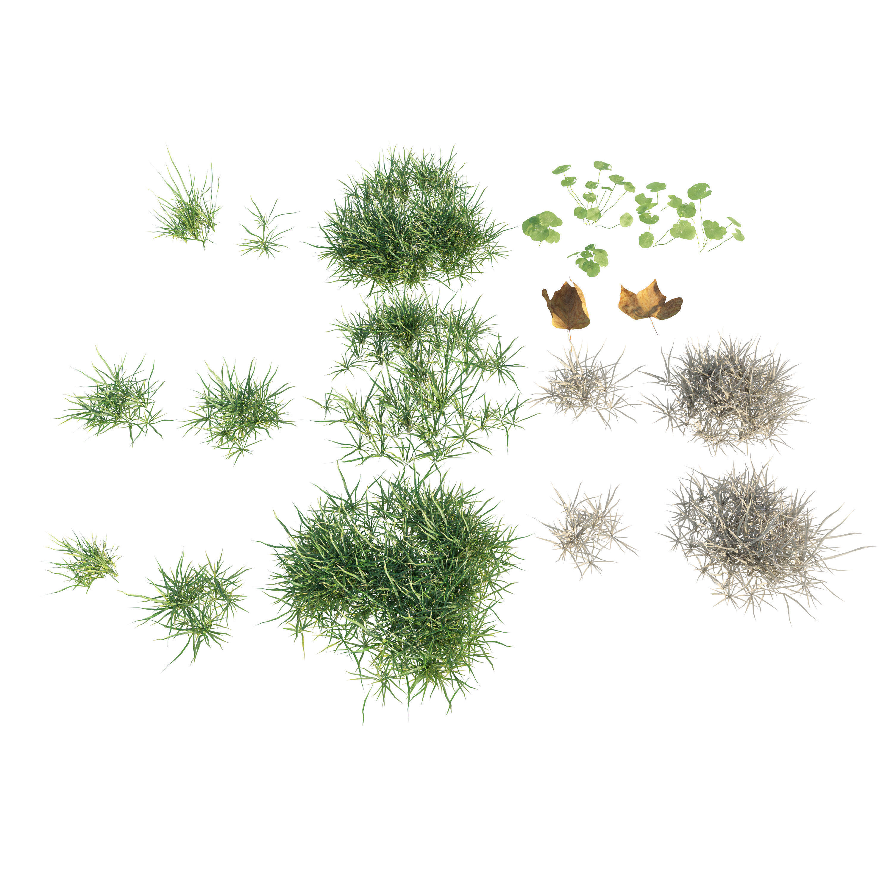 Patchy Green Grass 3D model_5
