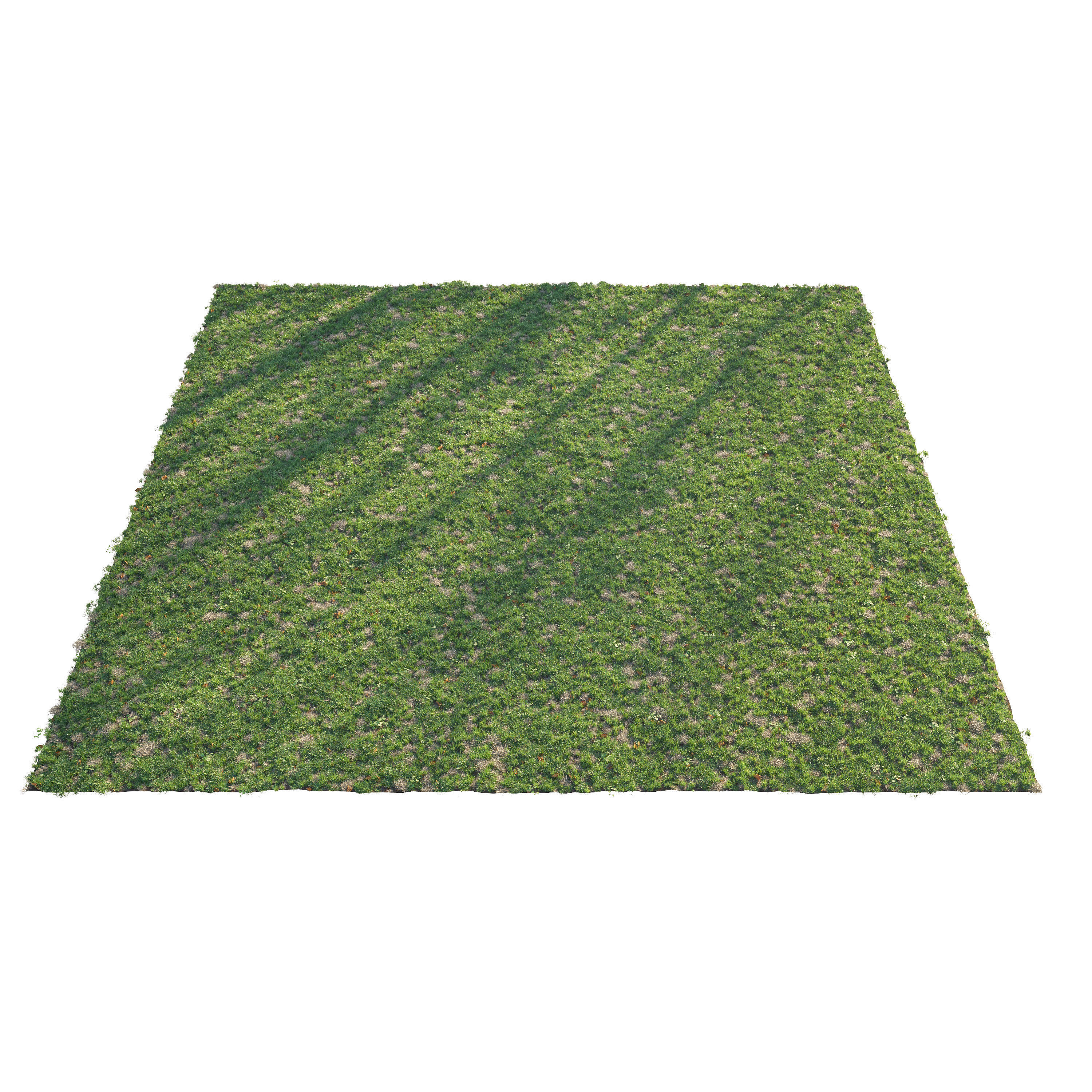 Patchy Green Grass 3D model_3