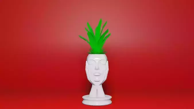 Woman Face Flower Pot Vase Planter 3D print model