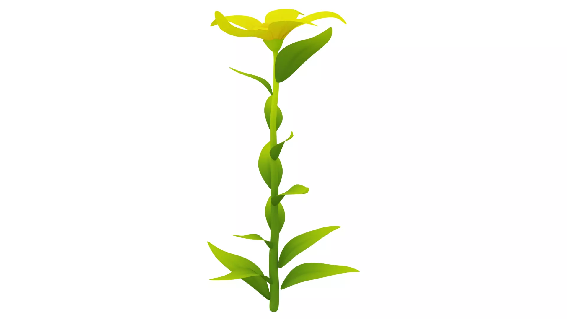 Plant Low-poly 3D model_0