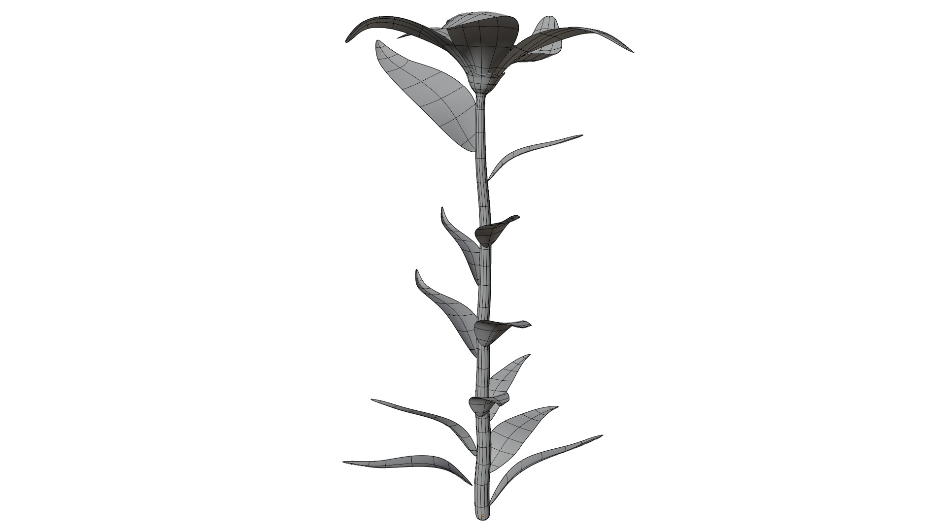 Plant Low-poly 3D model_11