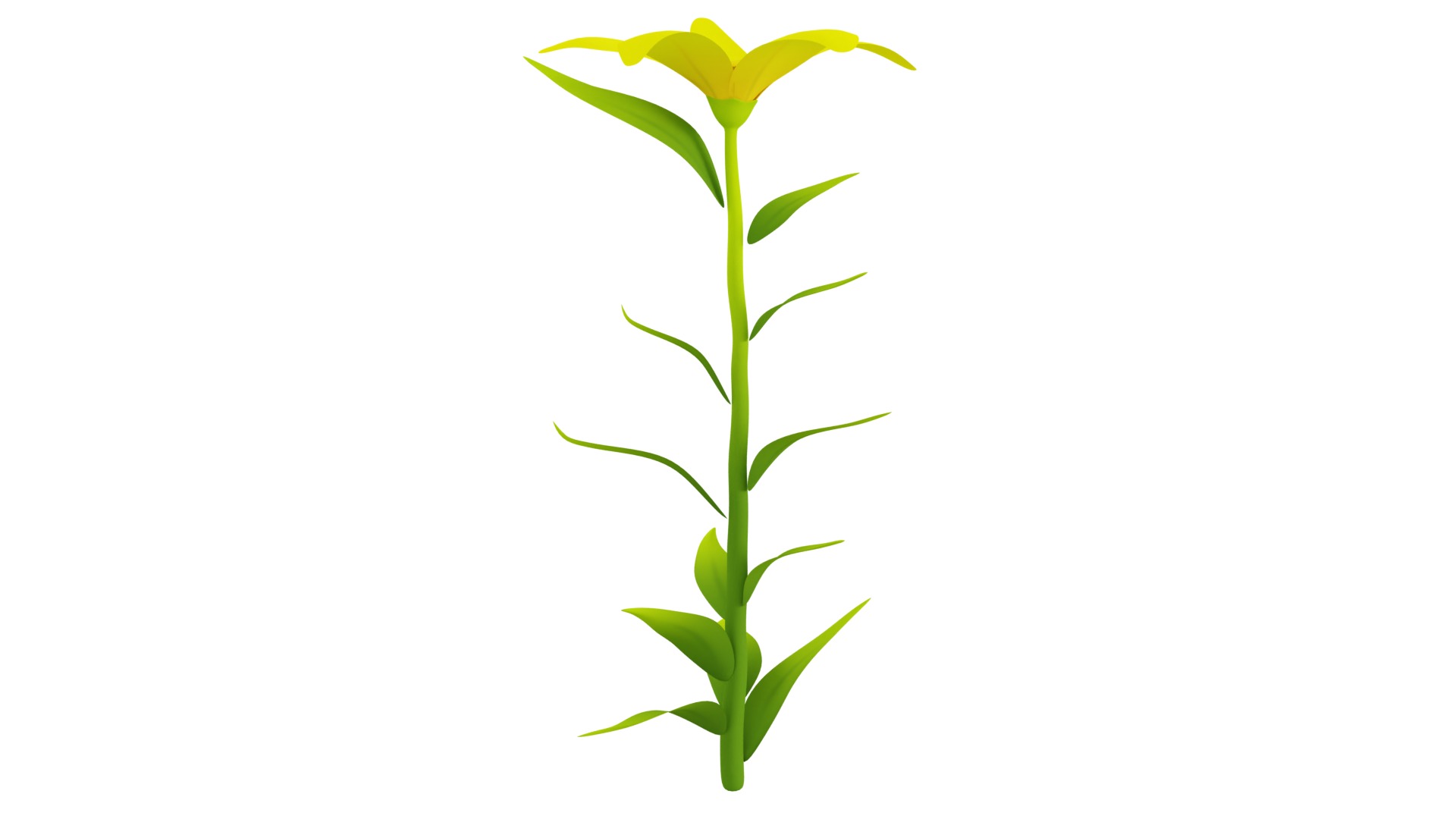 Plant Low-poly 3D model_2