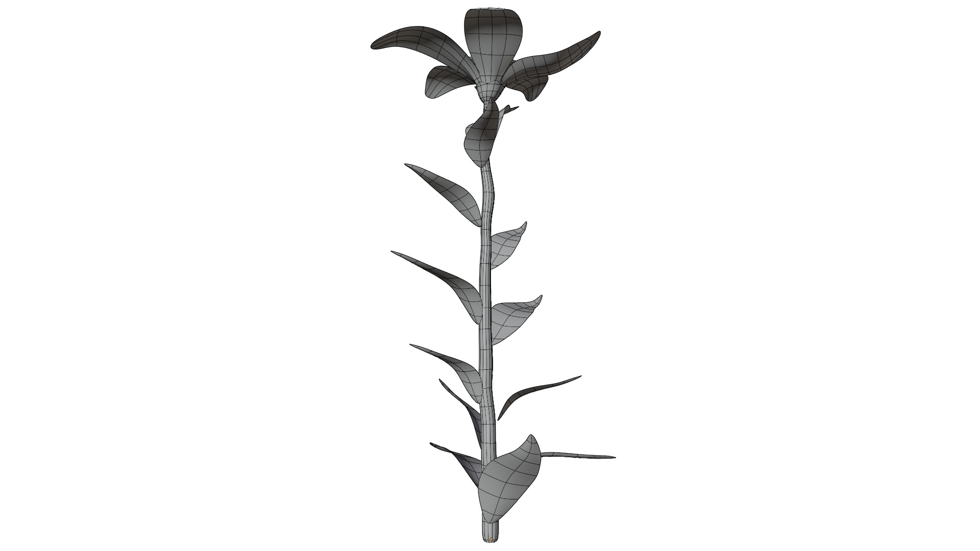 Plant Low-poly 3D model_12