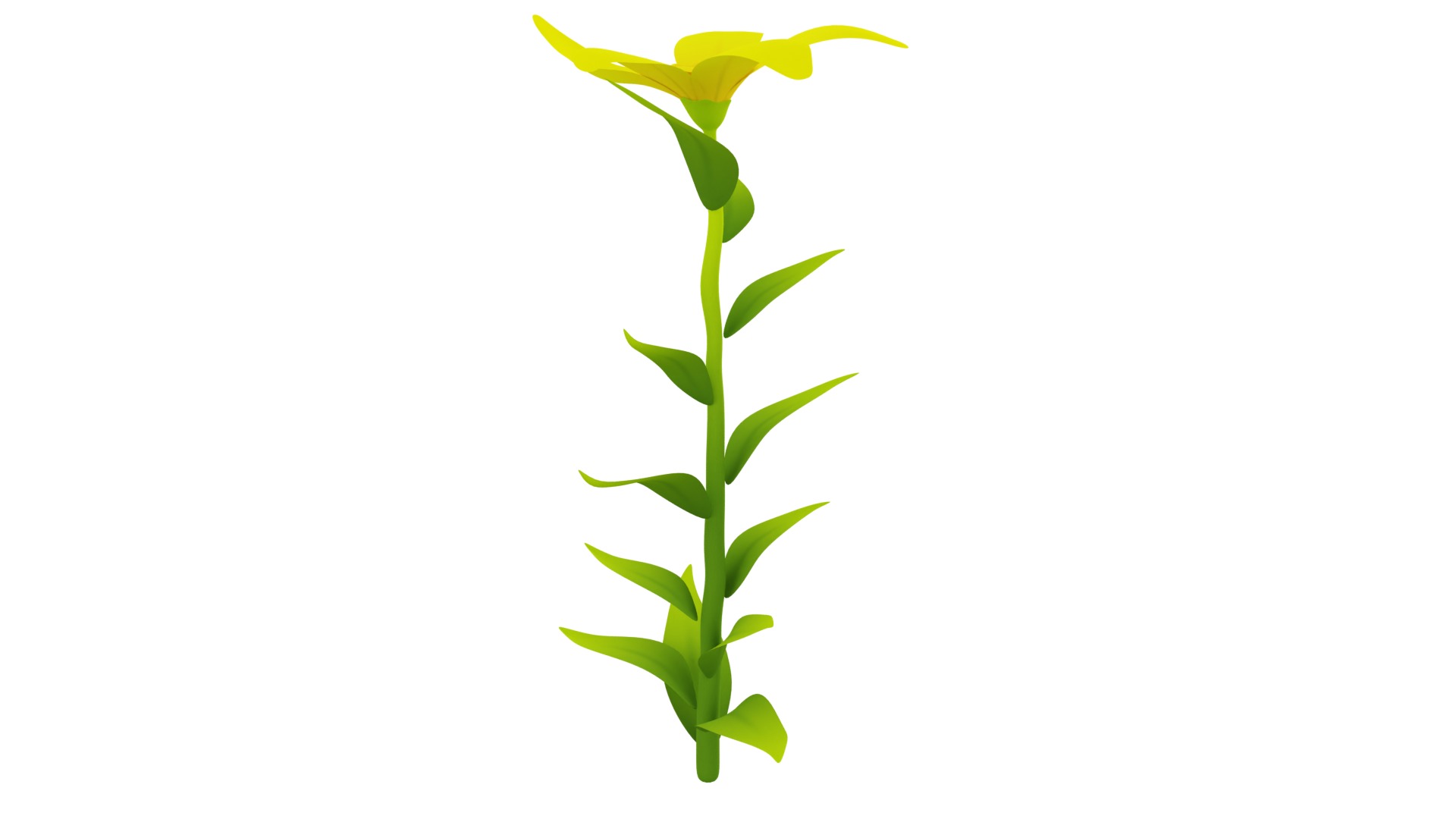Plant Low-poly 3D model_1