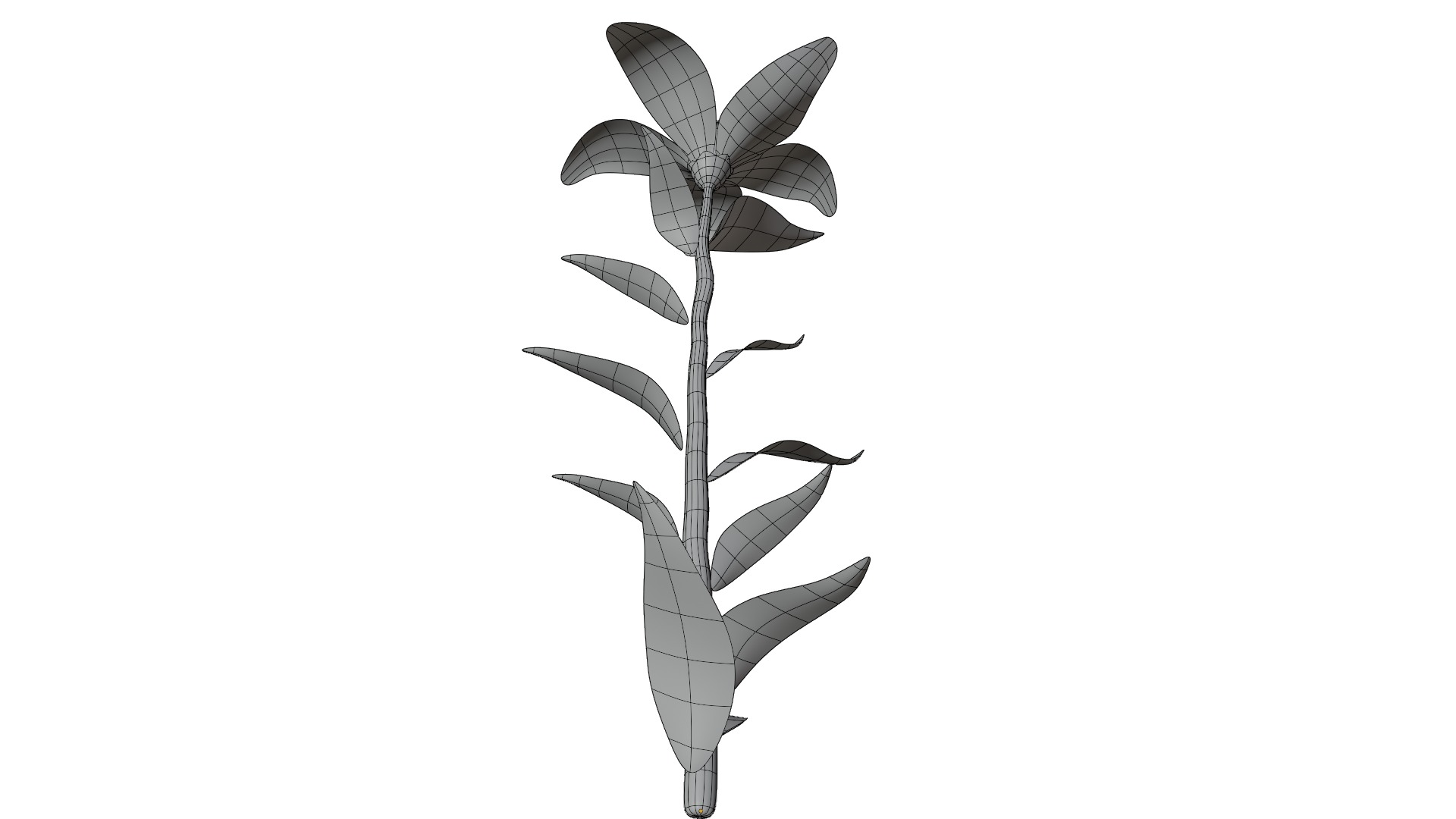 Plant Low-poly 3D model_13