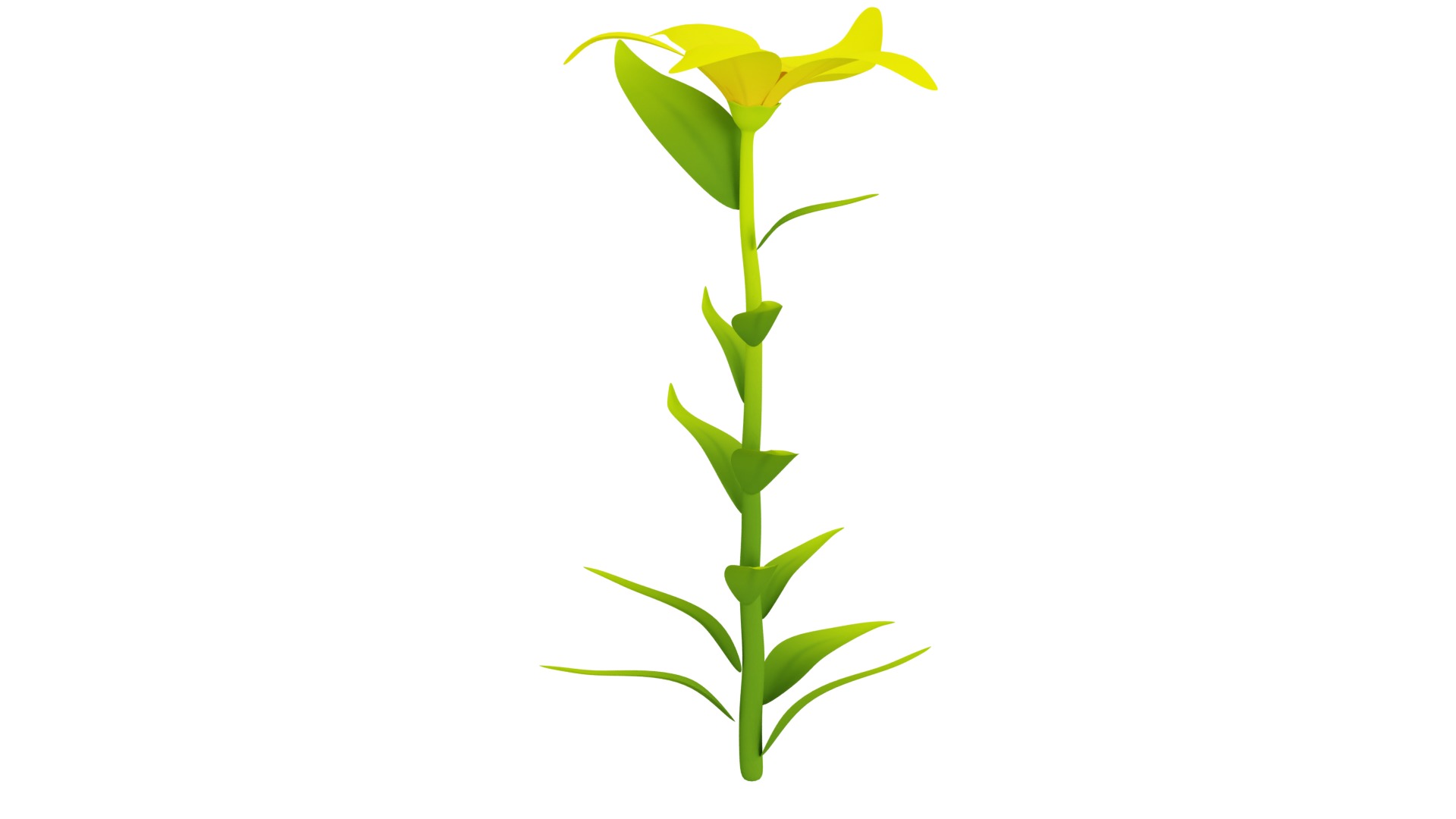 Plant Low-poly 3D model_3