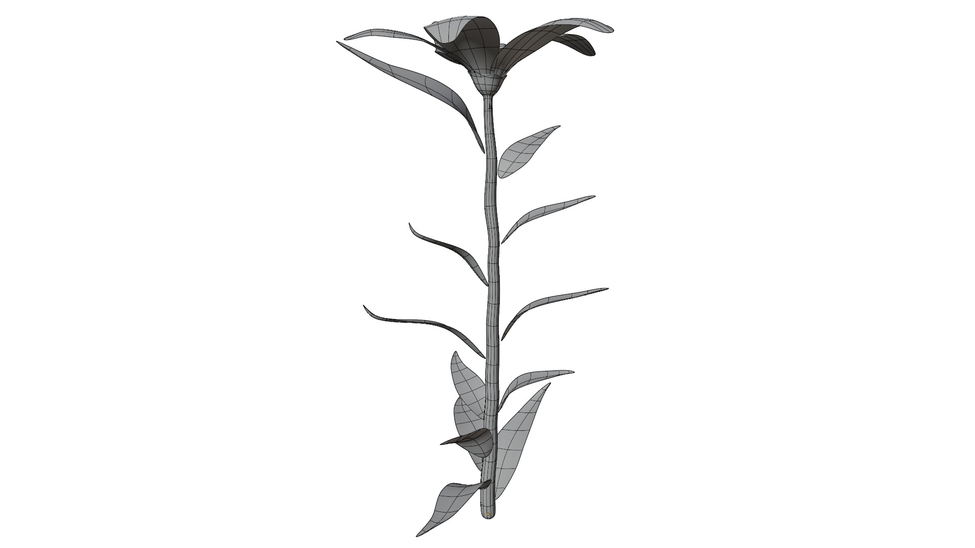 Plant Low-poly 3D model_10