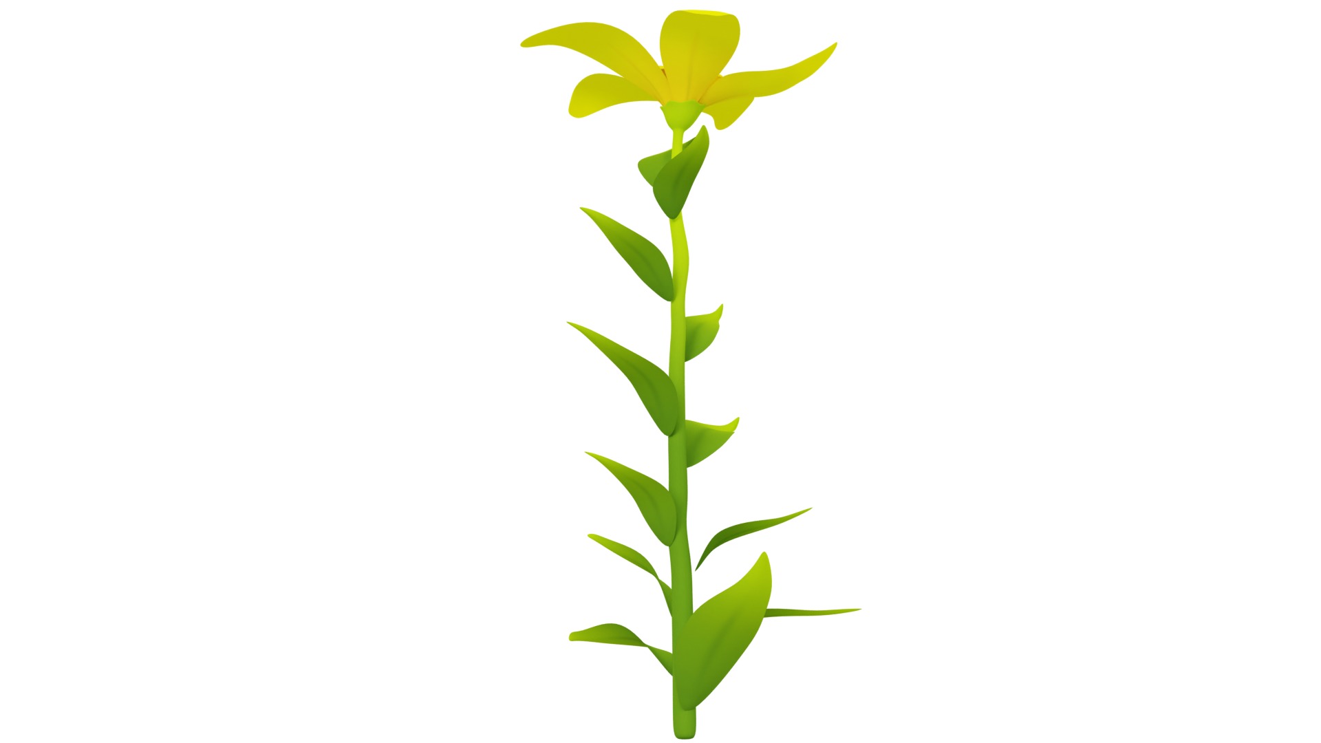 Plant Low-poly 3D model_4