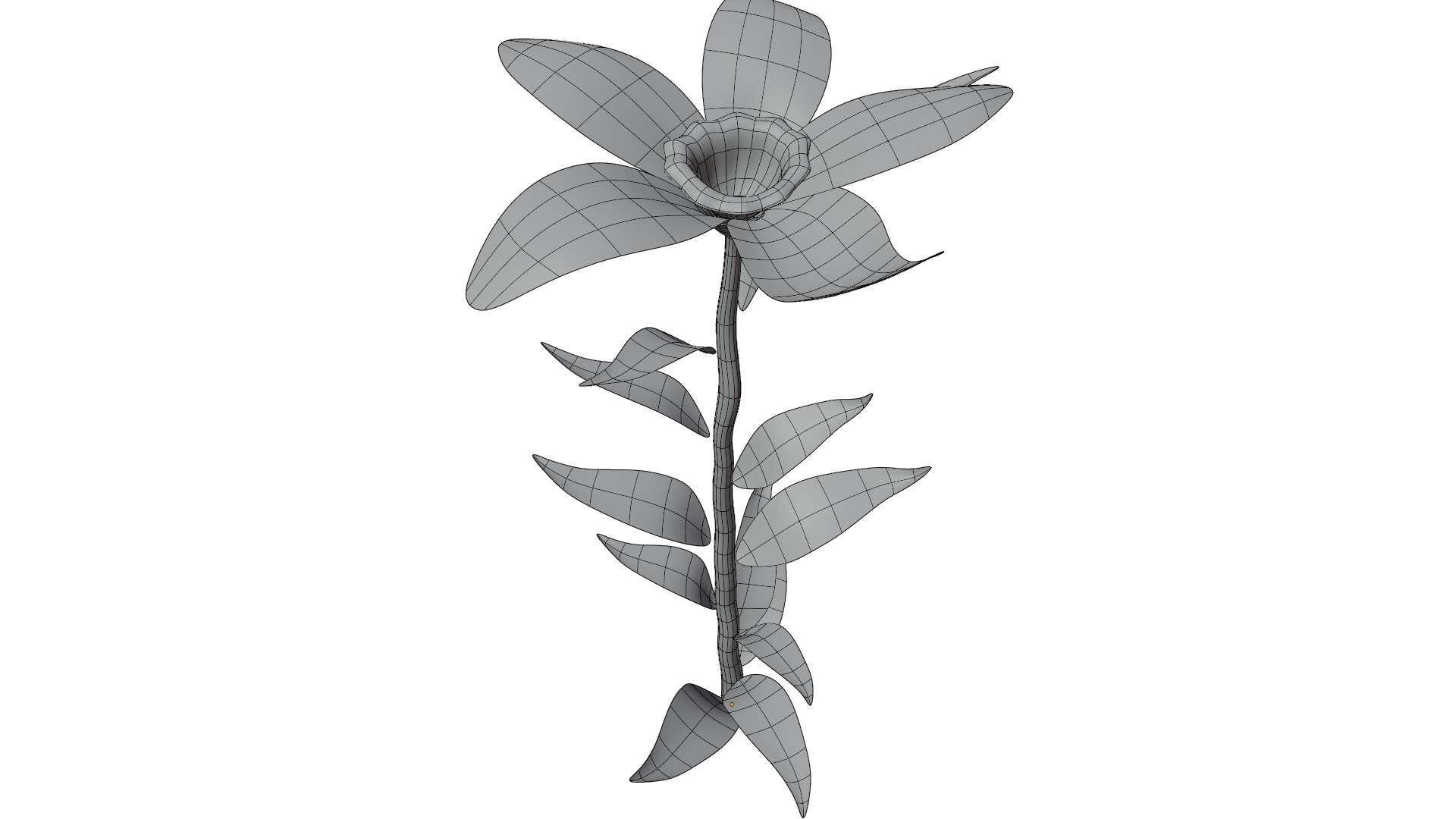 Plant Low-poly 3D model_14