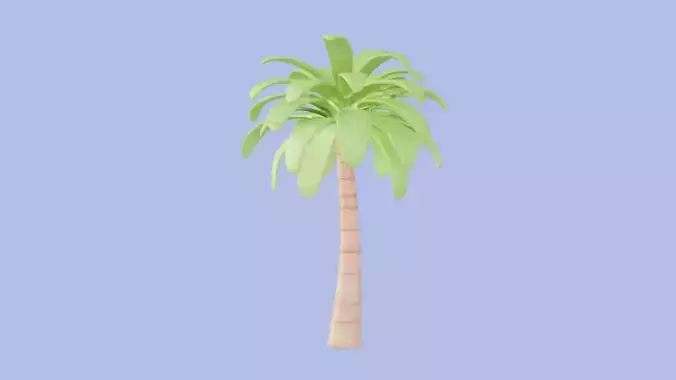 Palm Tree 