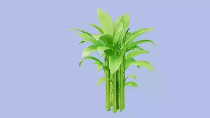 Bamboo Cluster 3D Game Ready Model 3D model