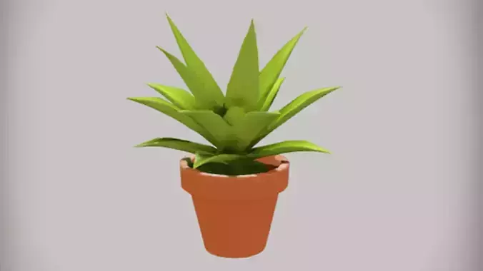 Potted plant with green leaves