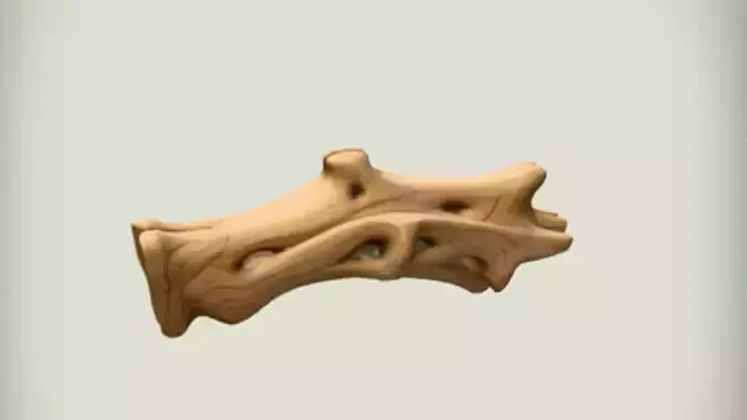 driftwood with intricate design