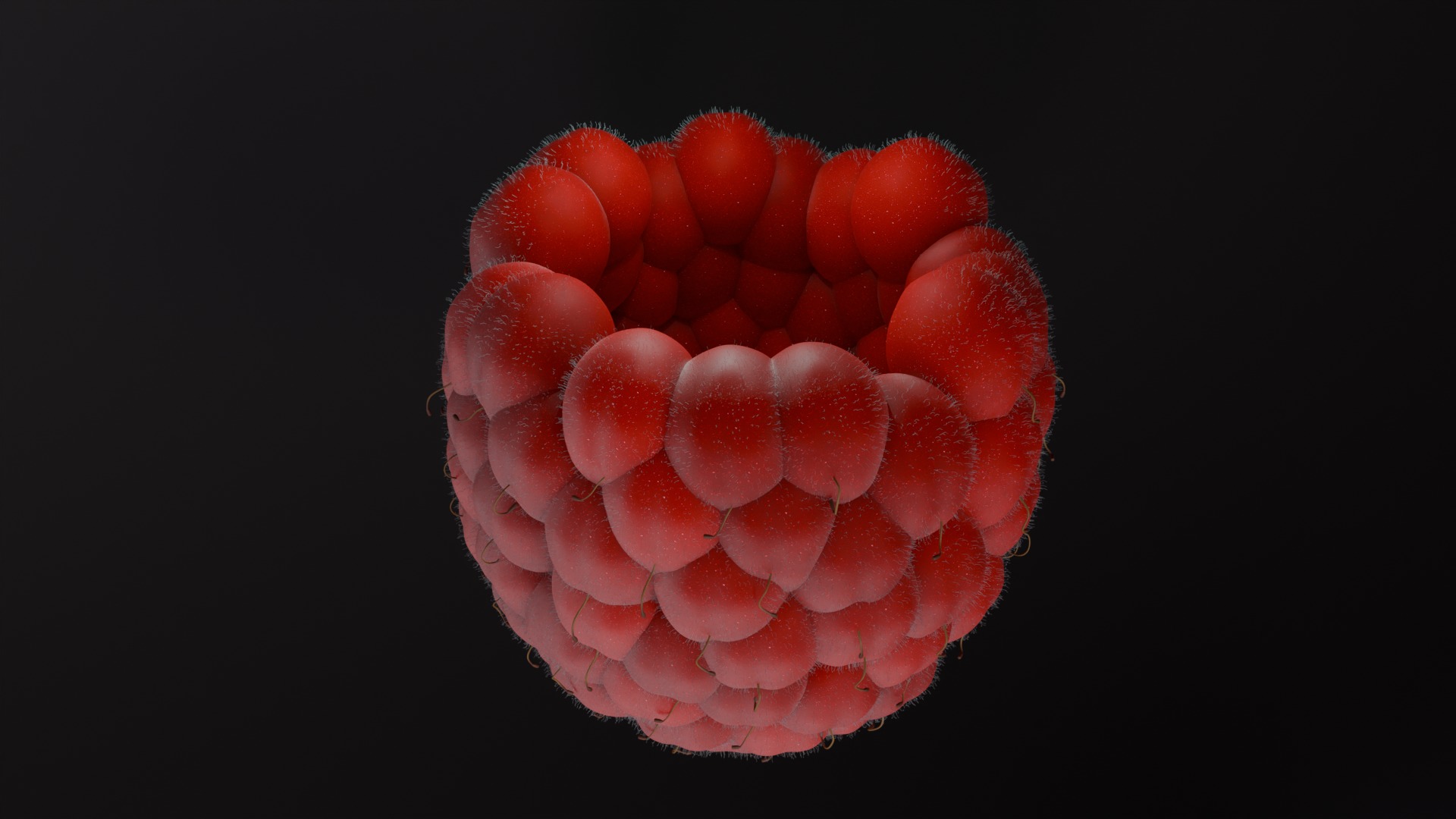 Photorealistic Raspberry  Low-poly 3D model_4