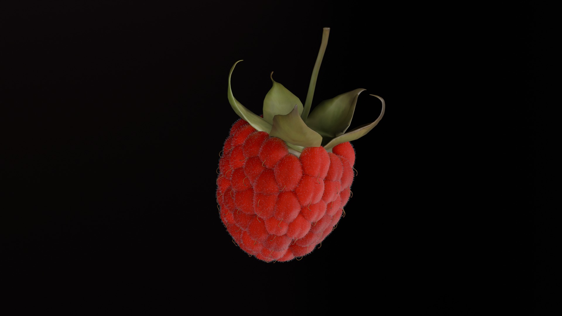 Photorealistic Raspberry  Low-poly 3D model_2