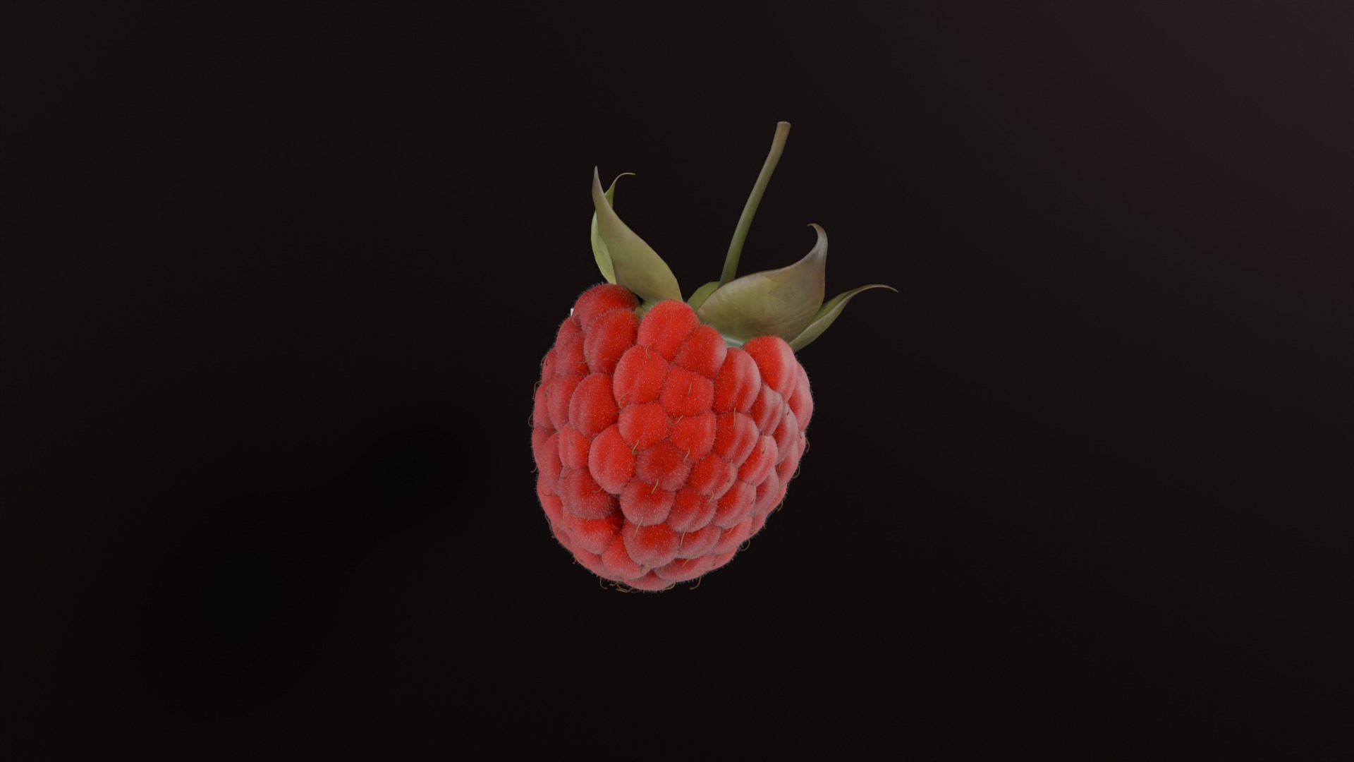 Photorealistic Raspberry  Low-poly 3D model_1
