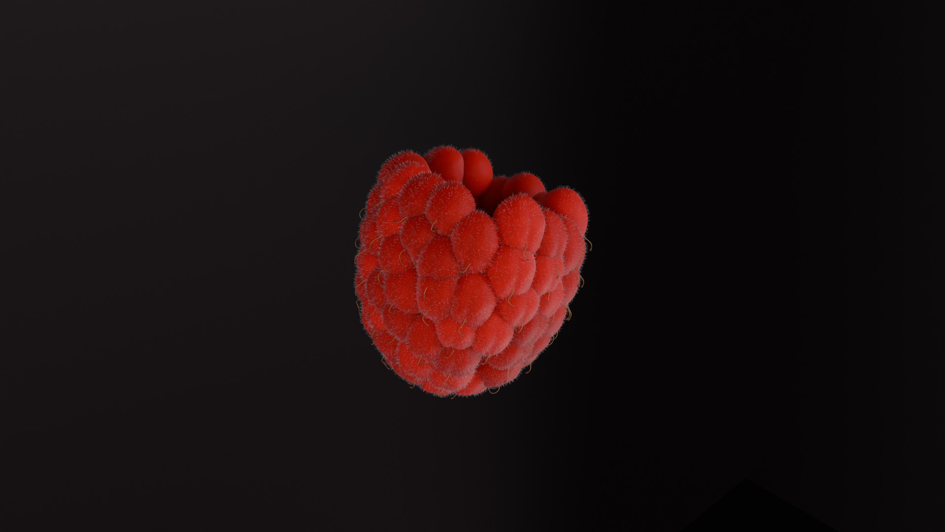 Photorealistic Raspberry  Low-poly 3D model_3