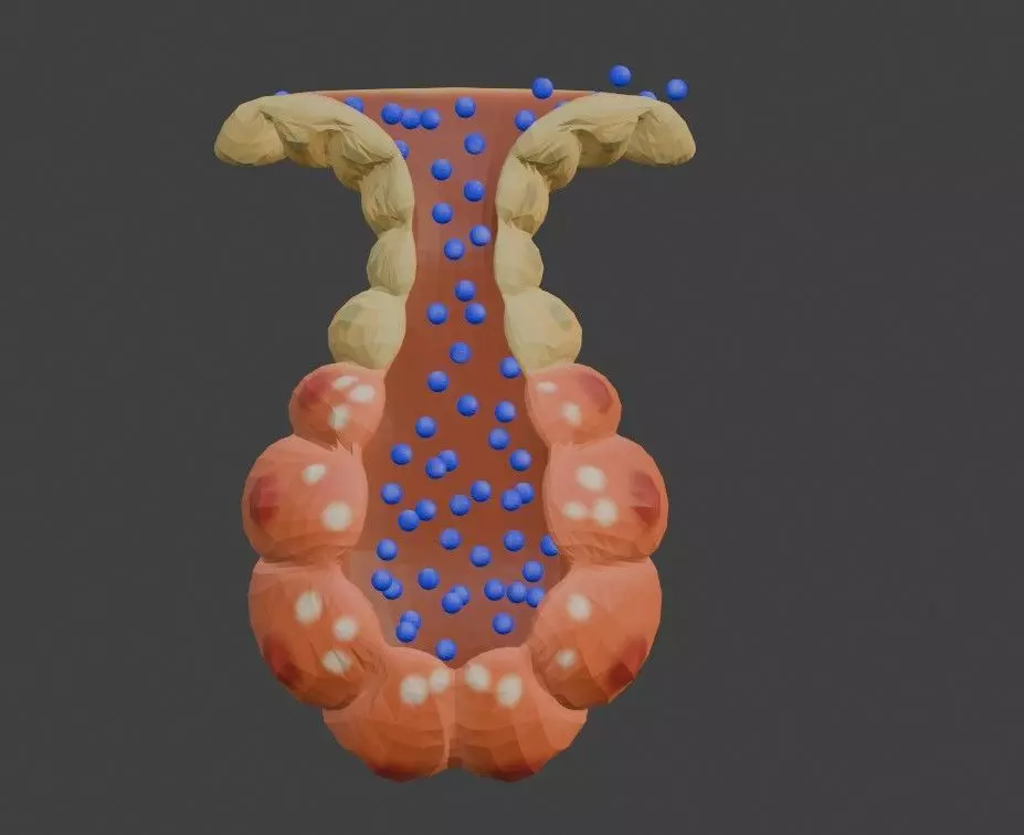 3D Model of Salvary Glands 3D model_0