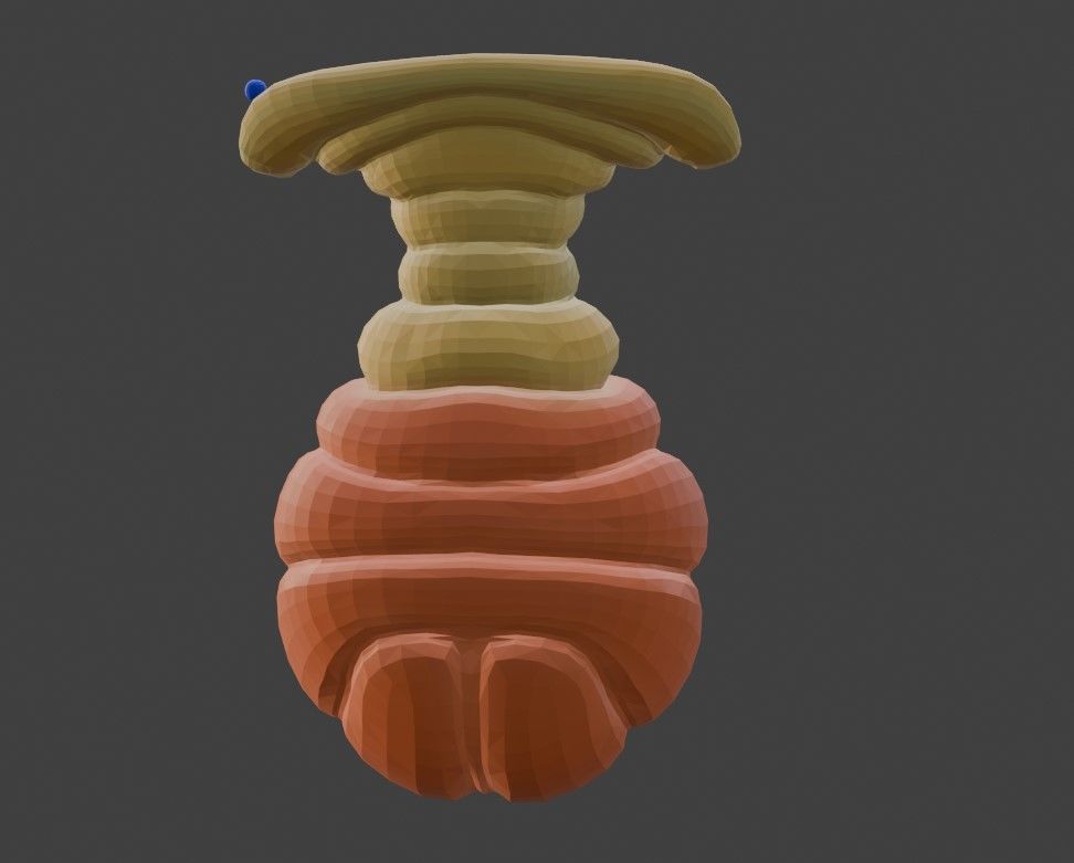 3D Model of Salvary Glands 3D model_1